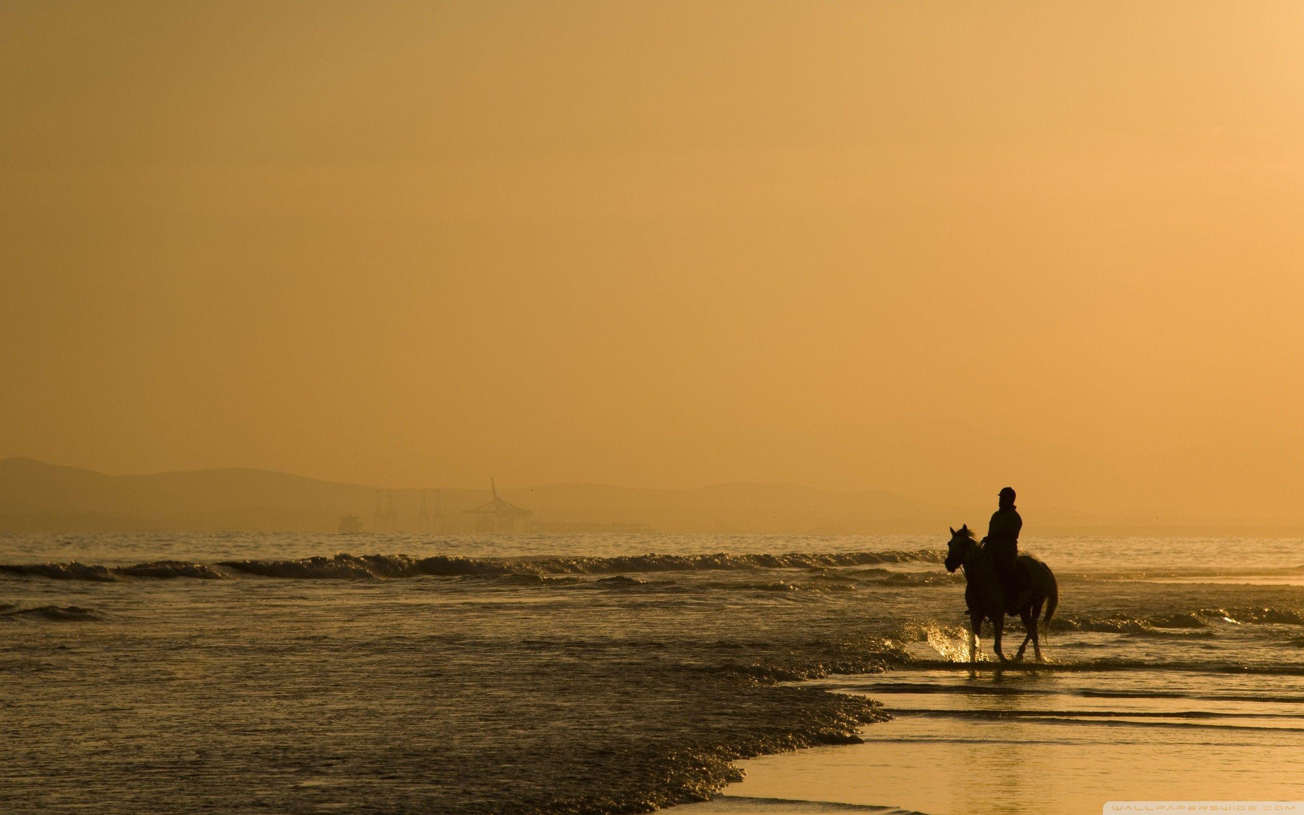 2560x1600 Horse Riding On The Beach Ultra HD Desktop Background Wallpaper for 4K UHD TV : Multi Display, Dual Monitor : Tablet