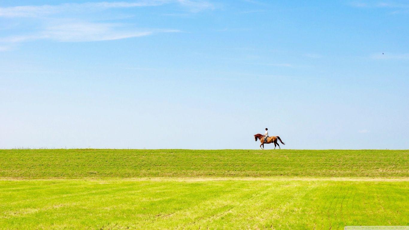 1366x768 Horse Riding Ultra HD Desktop Background Wallpaper for 4K UHD TV : Multi Display, Dual Monitor : Tablet