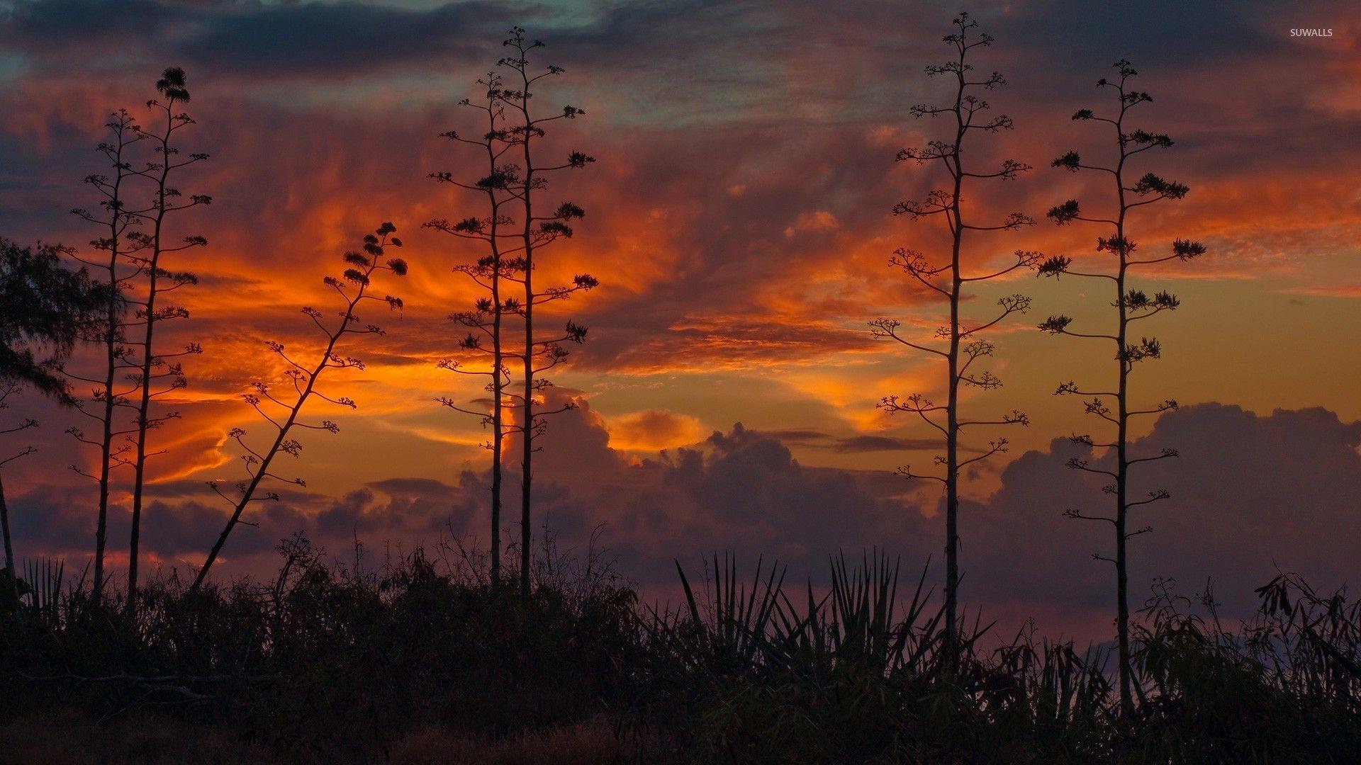 1920x1080 Kauai sunset wallpaper wallpaper