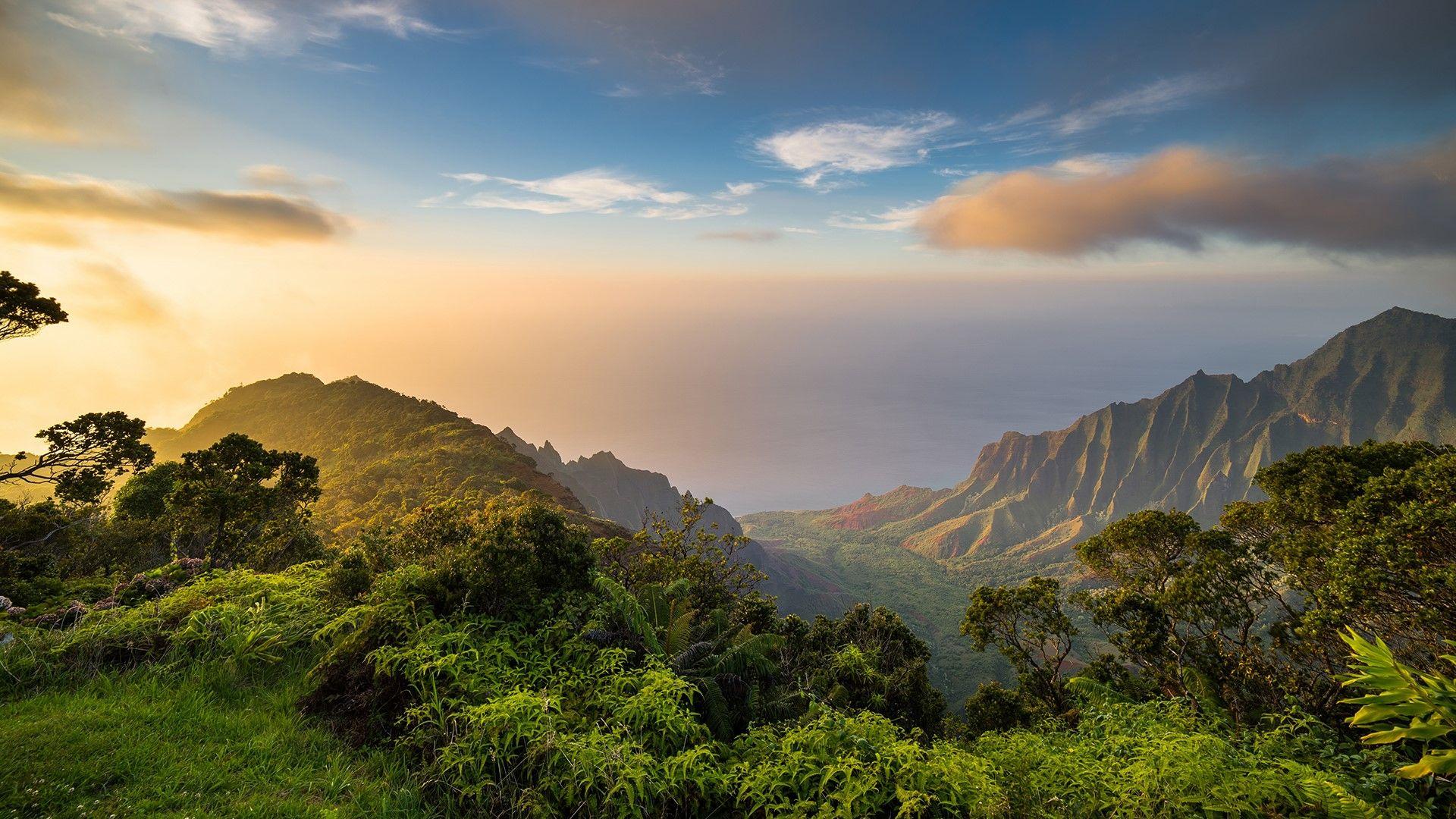 Kauai Sunset Wallpapers - Top Free Kauai Sunset Backgrounds ...