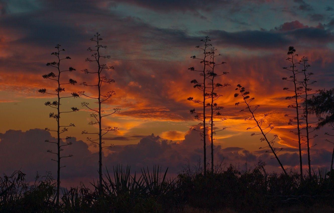 1332x850 Wallpaper the sky, sunset, Kauai, Hawaii, Kauai, The Hawaiian Islands image for desktop, section пейзажи