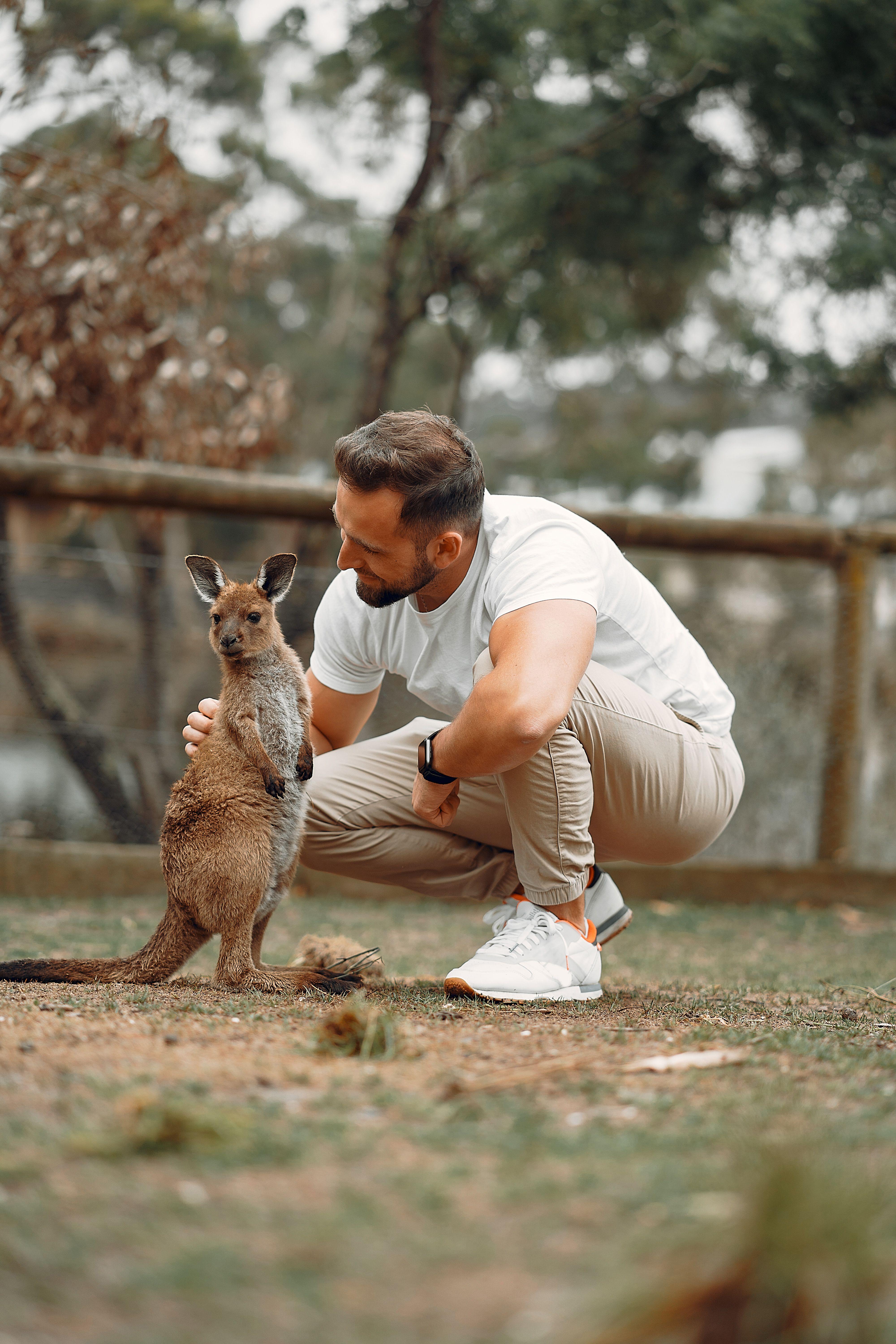4000x6000 Content man patting funny little kangaroo · Free