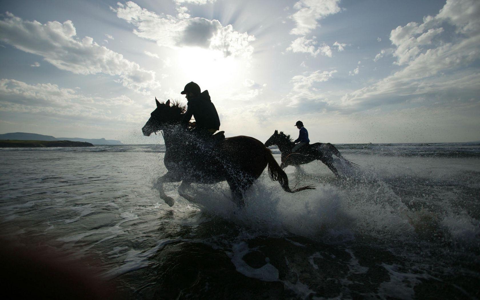 1680x1050 Download wallpaper 1680x1050 horse, rider, riders, sea, spray widescreen 16:10 HD background