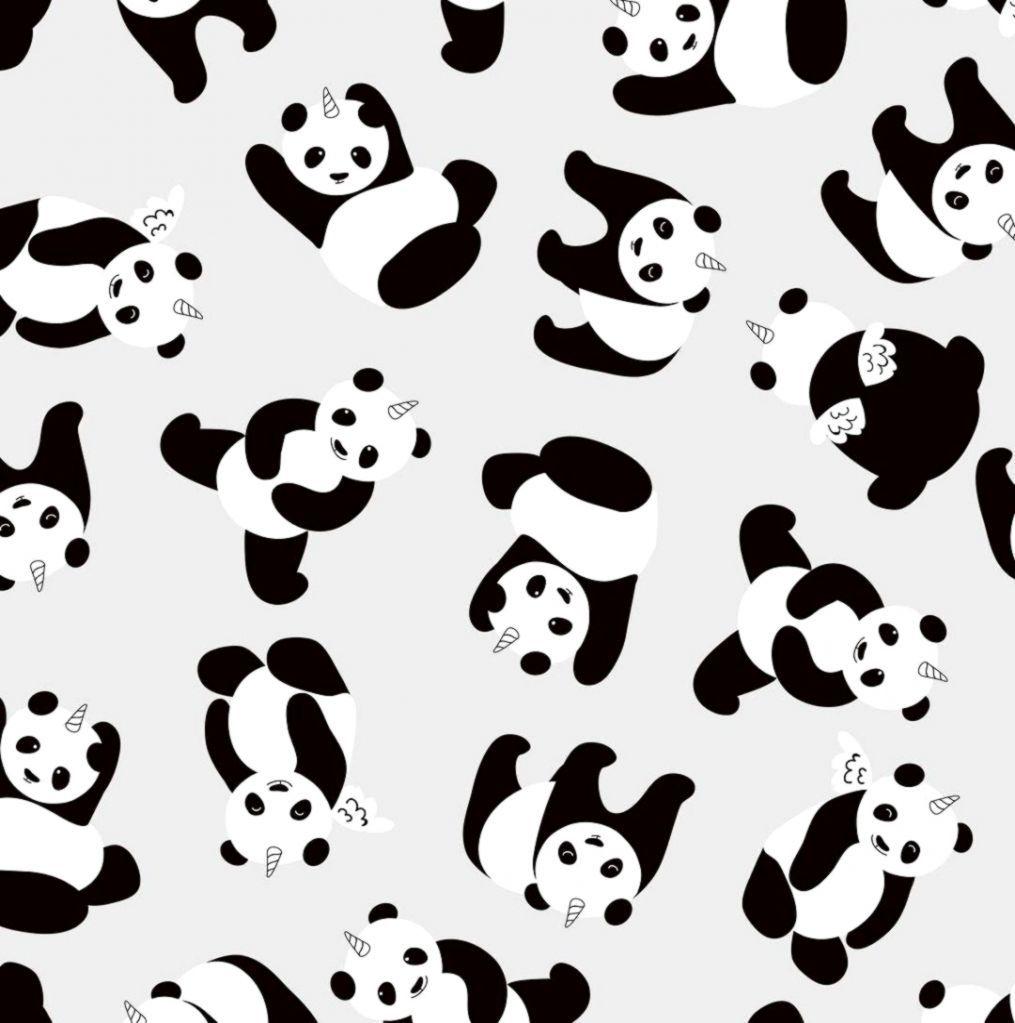 1015x1023 Pandicorn Wallpaper