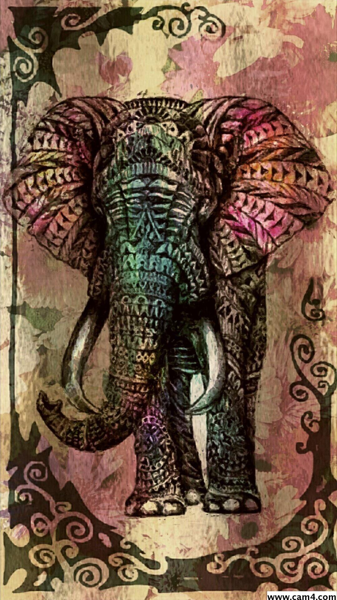 1080x1920 Elephant iPhone Background