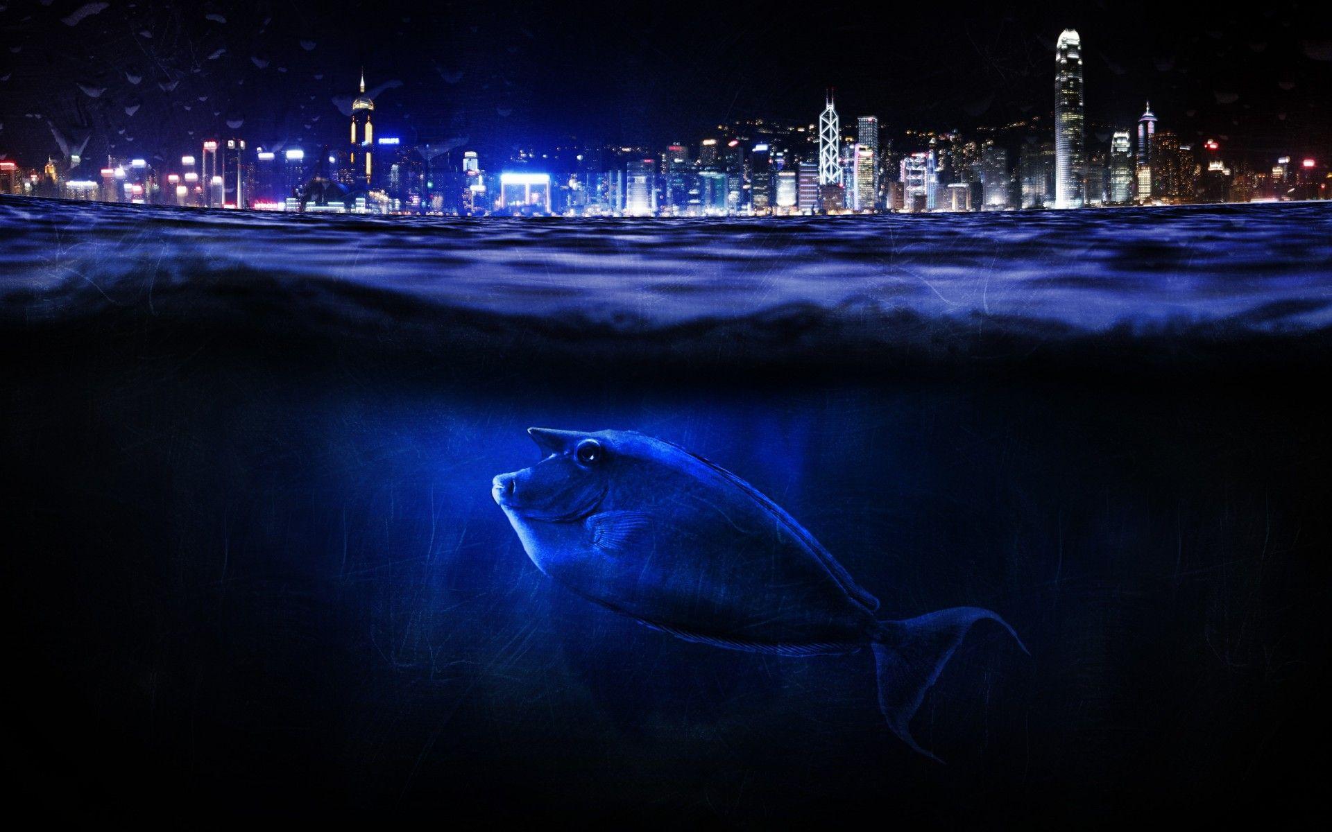 1920x1200 Wallpaper Hong Kong, Underwater, Fish, Cityscape, 4K, Creative