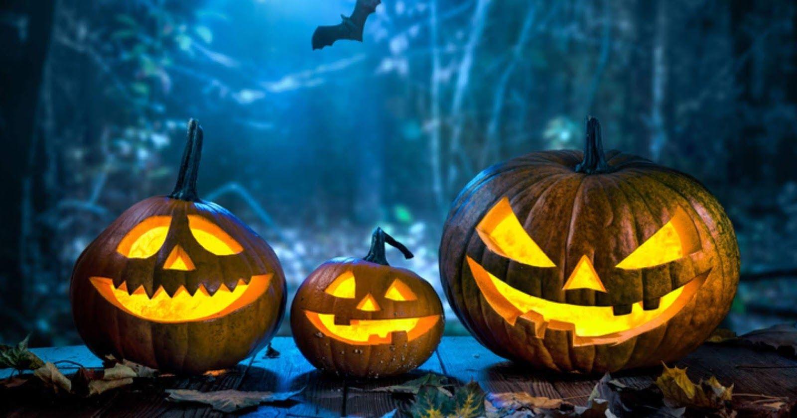 1600x840 Creepy Halloween Pumpkin and Jack O Lantern picture
