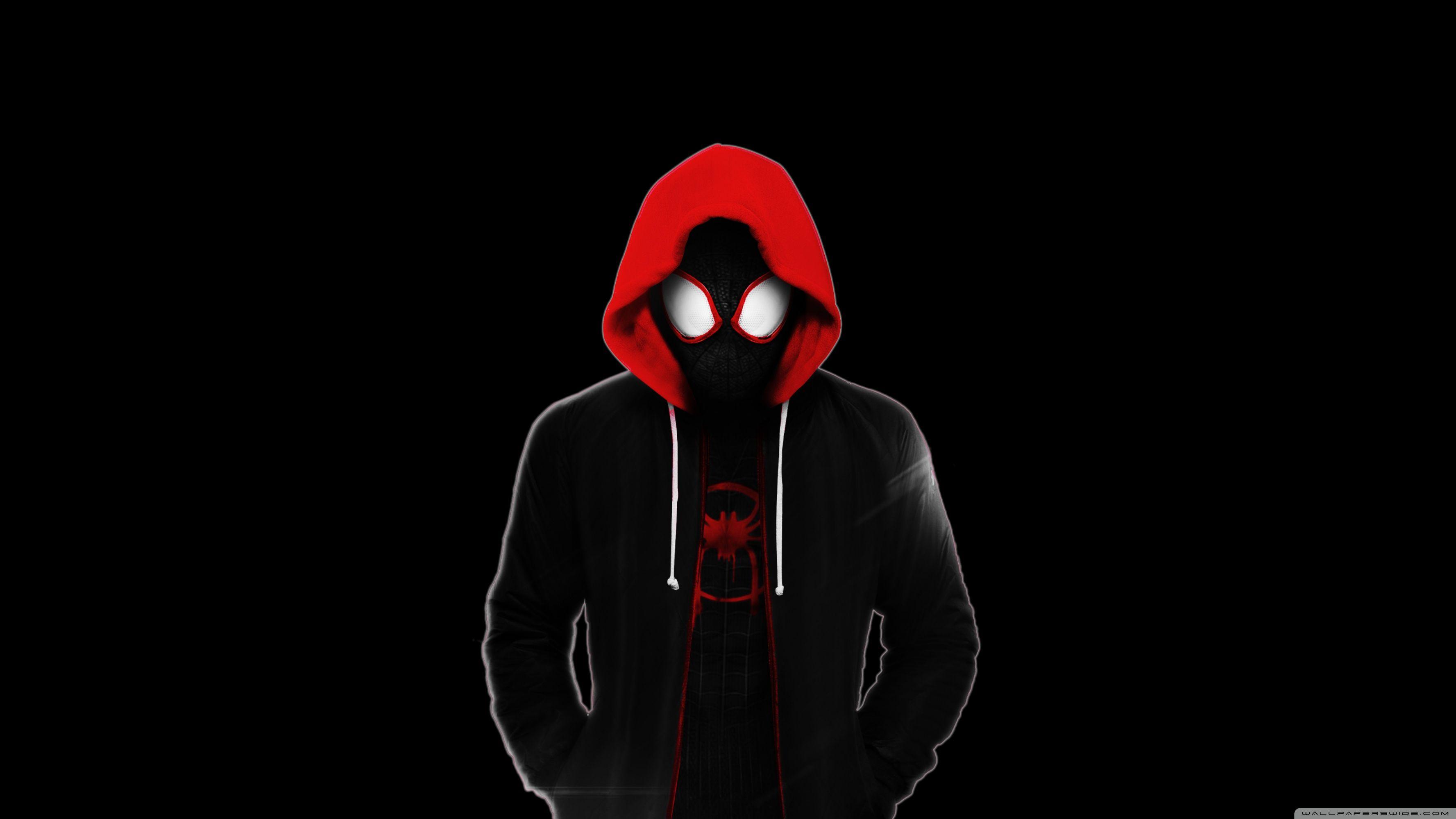 3554x1999 Hoodie Wallpaper
