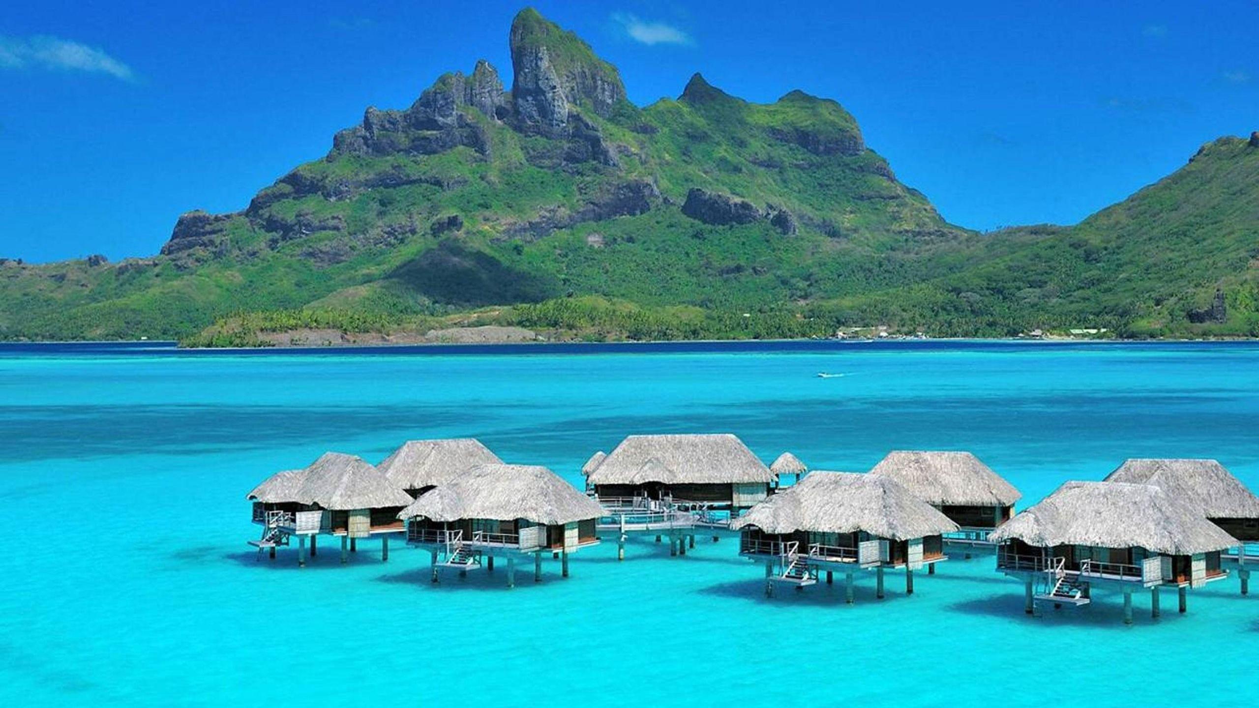 2560x1440 Tahiti Desktop Wallpaper