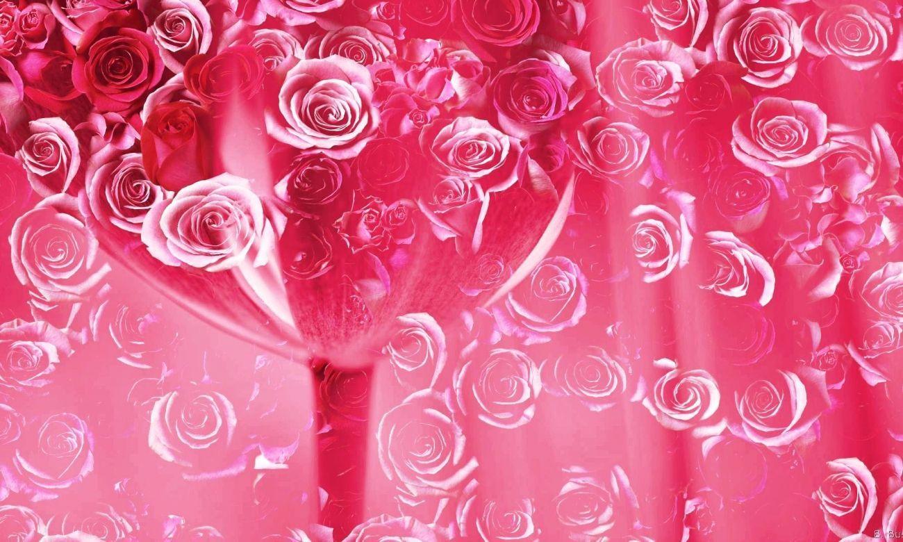 1300x780 Download Bright Pink Wallpaper High Quality HD Wallpaper in 2K 4K 5K 8K 10K resolution for your Desktop Mobile And. Pink wallpaper, Bright pink, Pink wallpaper pc