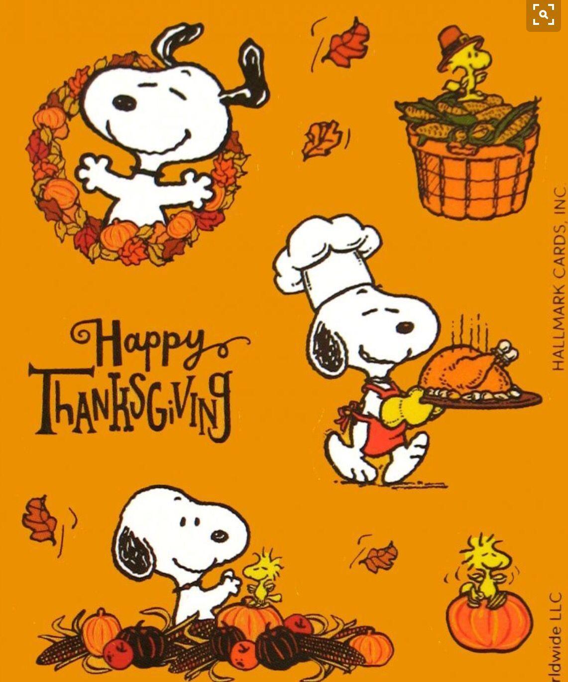 1141x1369 Snoopy is a great chef!. Thanksgiving snoopy, Thanksgiving picture, Snoopy picture