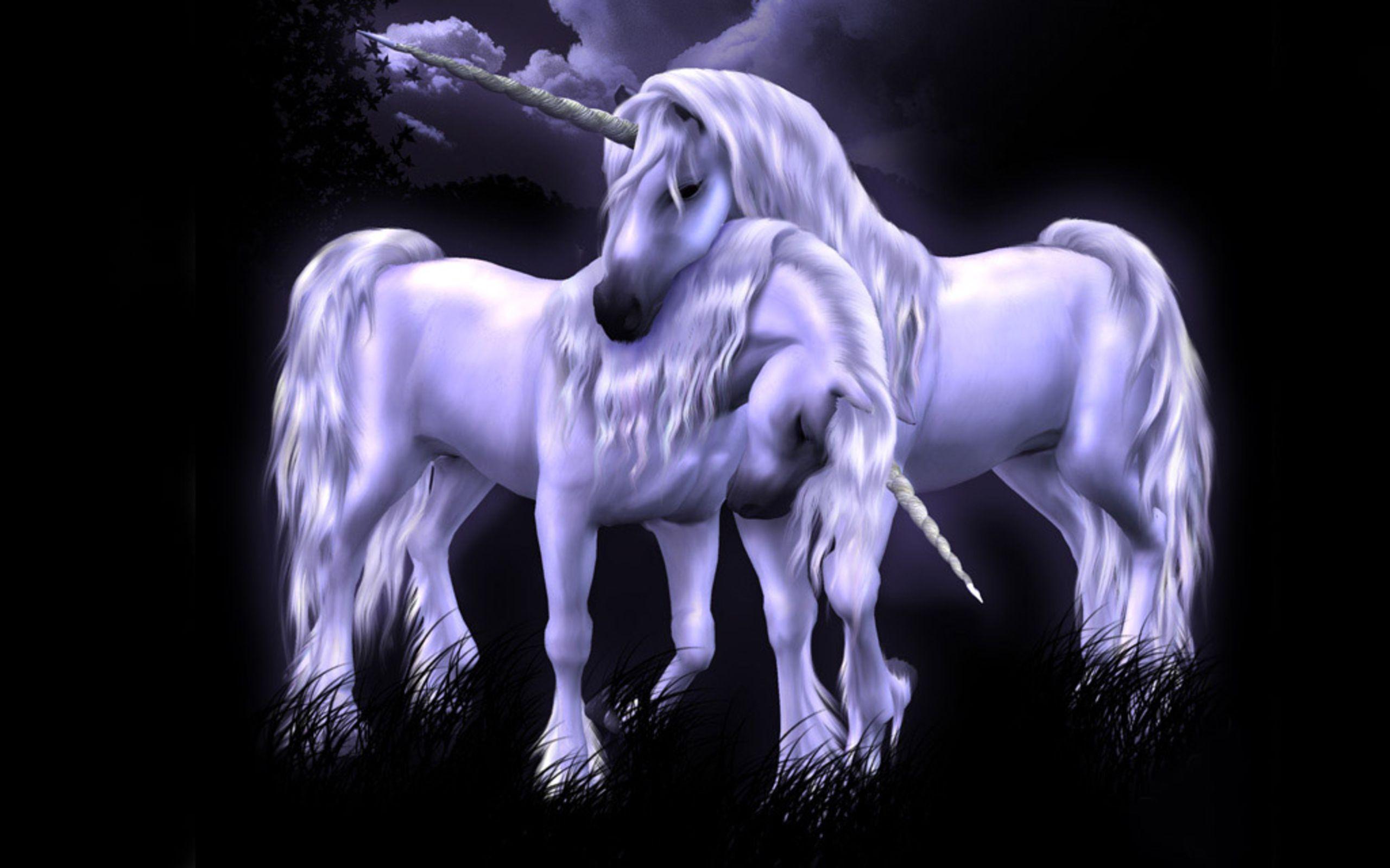 2560x1600 Unicorn horse magical animal f wallpaperx1600