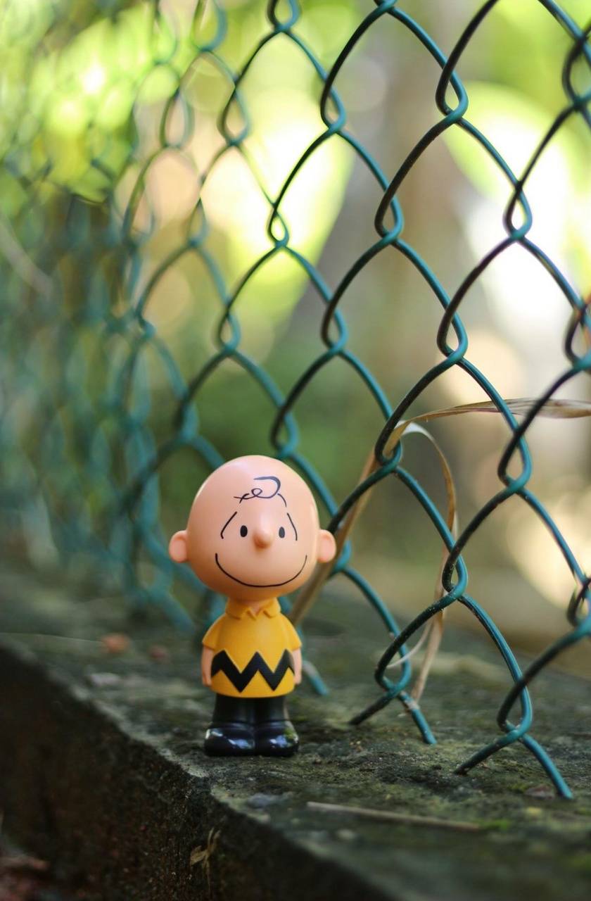 Charlie Brown Iphone Wallpaper