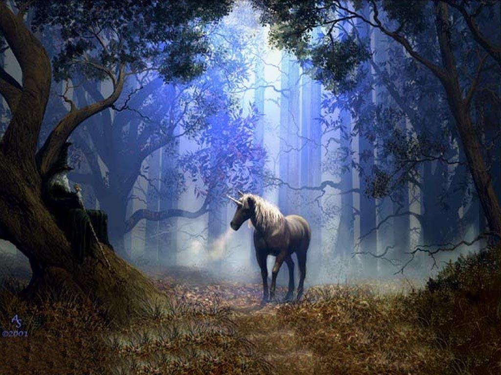 1024x768 Unicorns Wallpaper