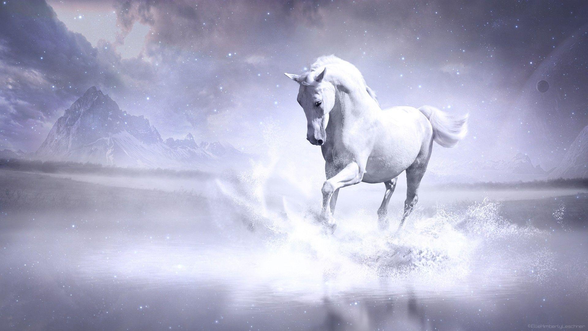 Water Horse Wallpapers - Top Free Water Horse Backgrounds - WallpaperAccess