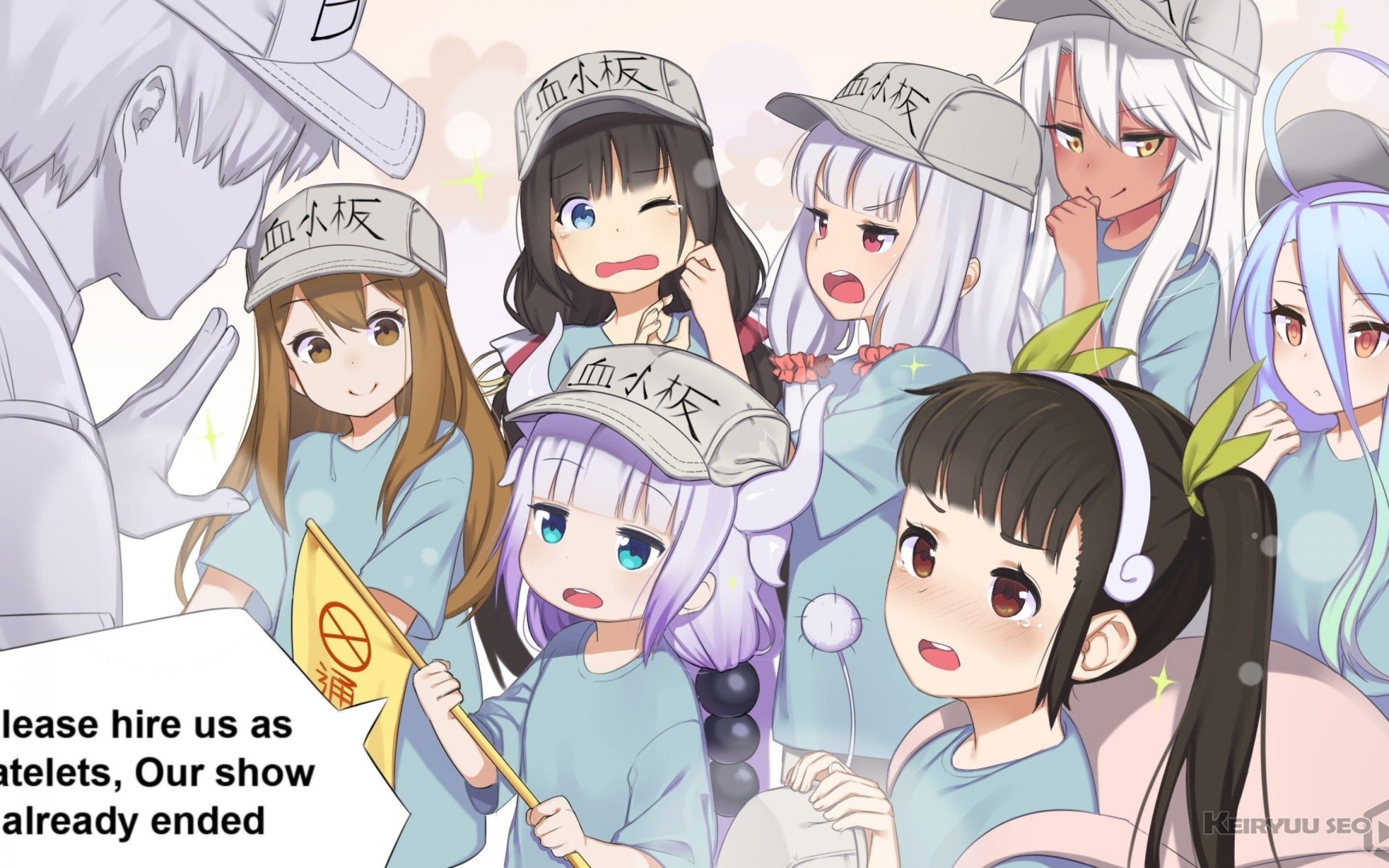 2880x1800 Download 2880x1800 Hataraku Saibou, Kobayashi San Chi No Maid Dragon, Anime Crossover, Kanna Kamui Wallpaper For MacBook Pro 15 Inch