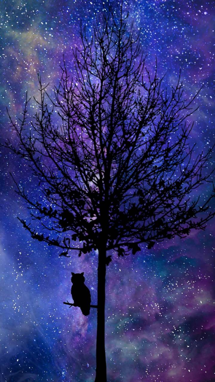 Galaxy Tree Wallpapers - Top Free Galaxy Tree Backgrounds - WallpaperAccess