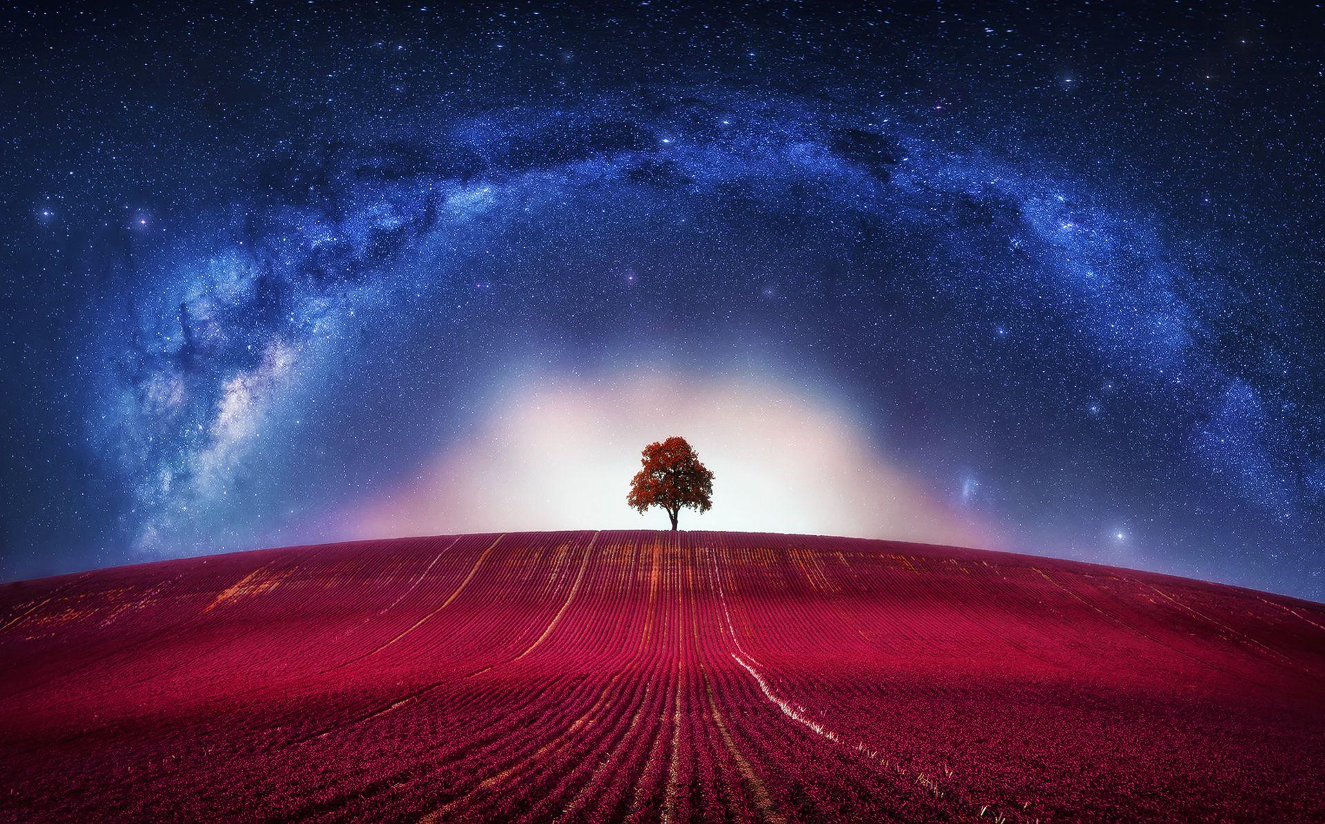 Galaxy Tree Wallpapers - Top Free Galaxy Tree Backgrounds - WallpaperAccess