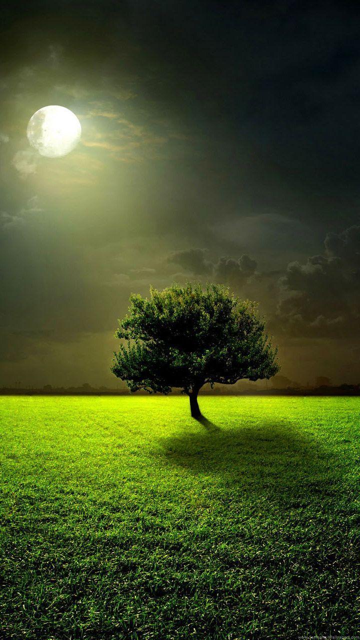 720x1280 Full Moon Lock Screen 720x1280 Samsung Galaxy Note 2 Wallpaper HD_Samsung Wallpaper. Natural scenery, Nature, Beautiful nature