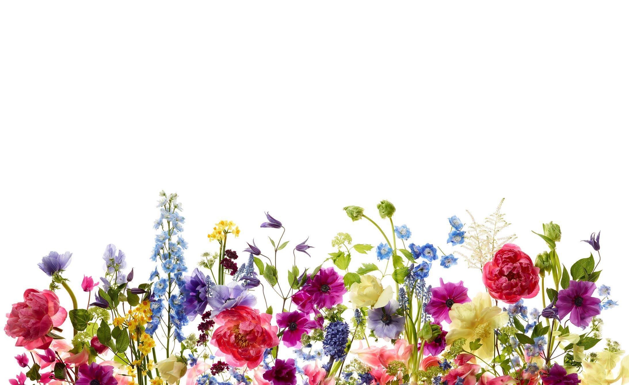 2186x1340 Kang Kim Photography life- Desktop wallpaper design, Laptop wallpaper desktop wallpaper, Macbook wallpaper