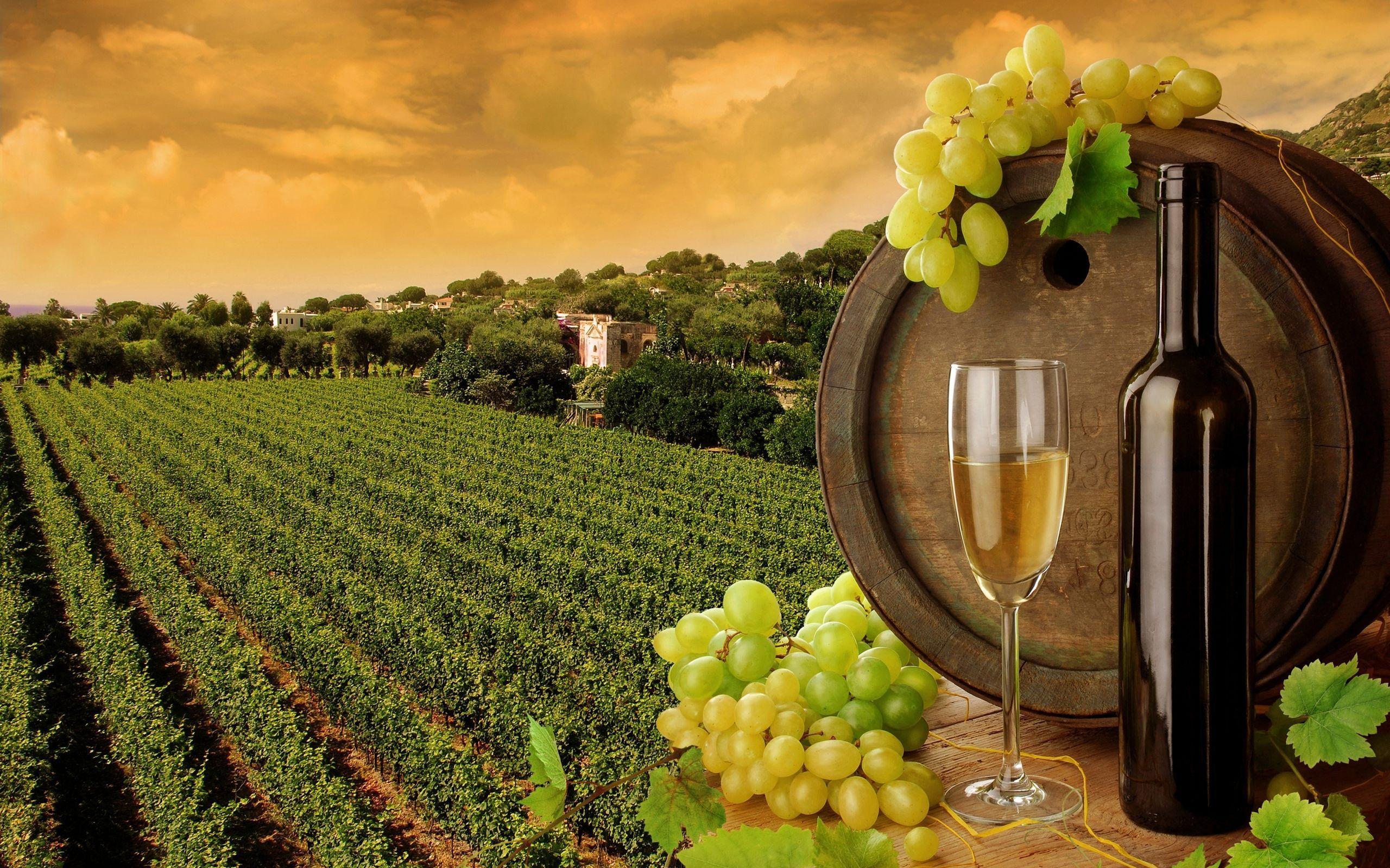 Wine Country Wallpapers - Top Free Wine Country Backgrounds ...