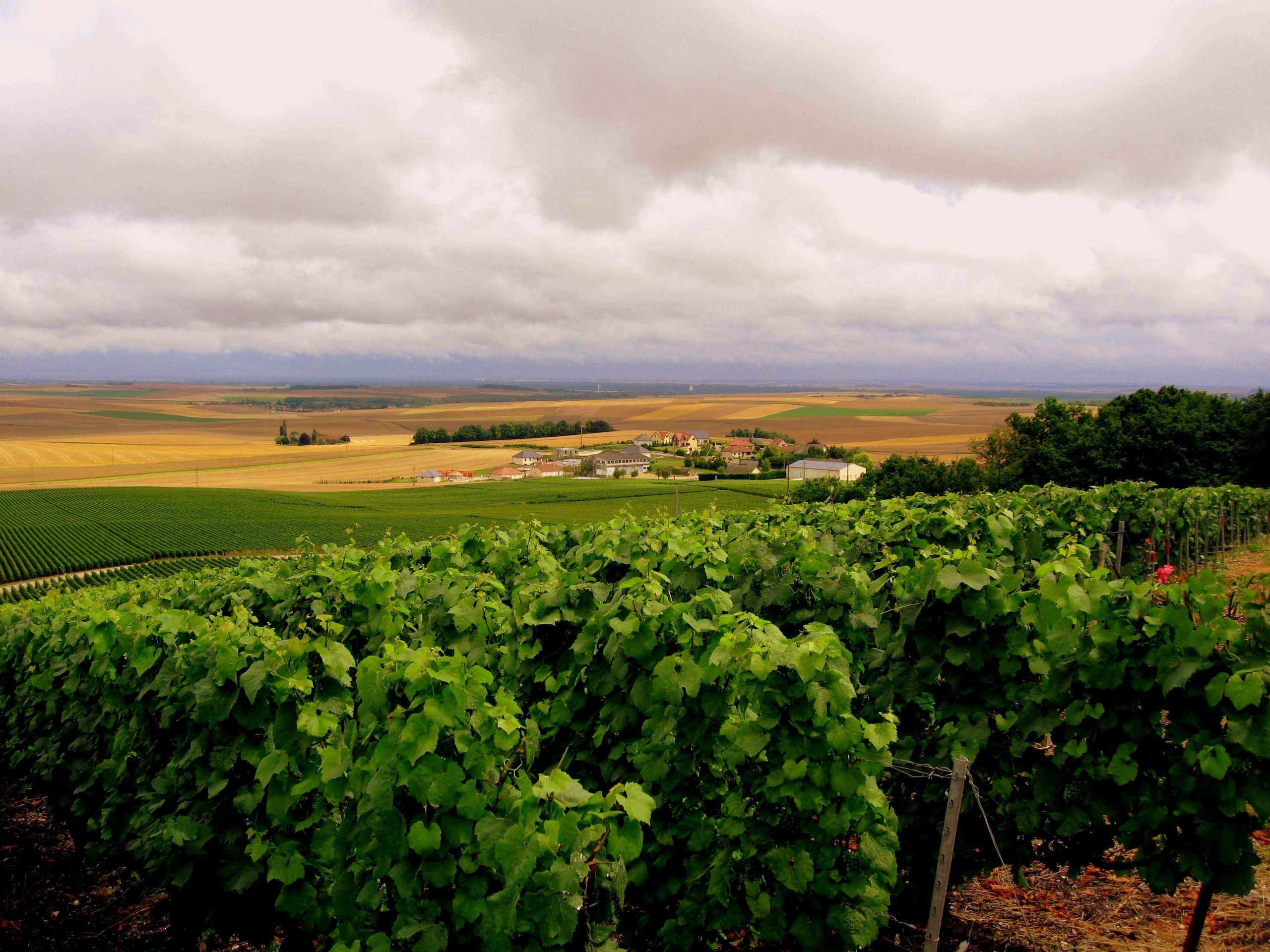 2560x1920 Wine Country Desktop Wallpaper