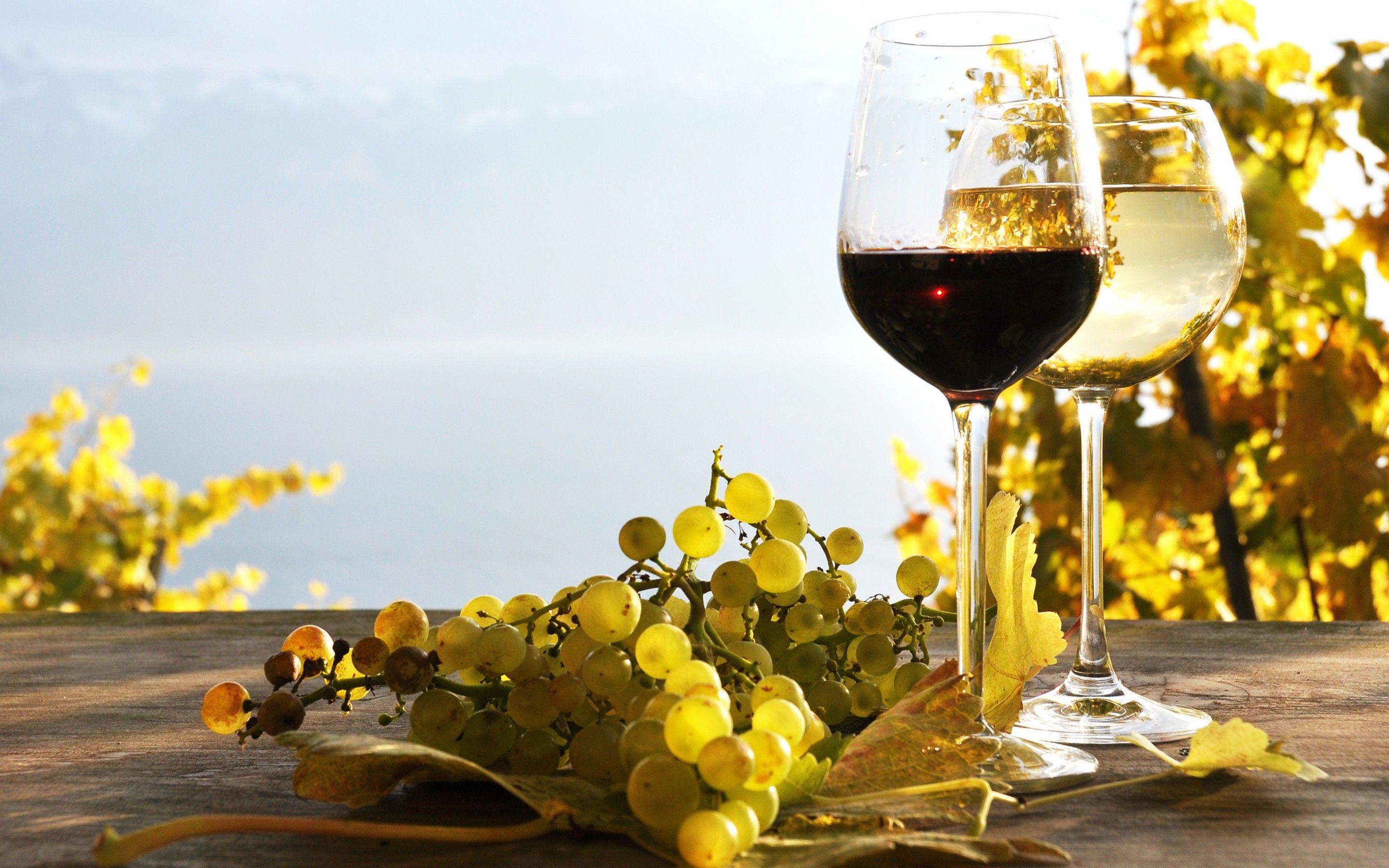 2880x1800 Winery Wallpaper. Winery Wallpaper, Italian Winery Wallpaper and California Winery Wallpaper