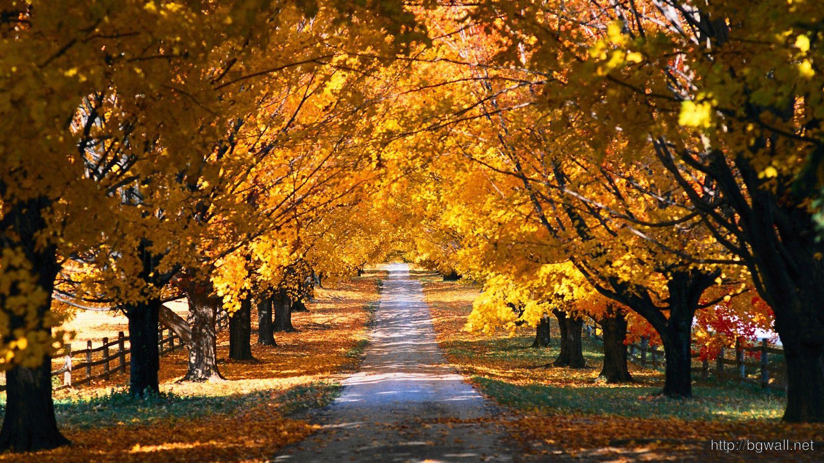 1680x945 Country Home Wallpaper