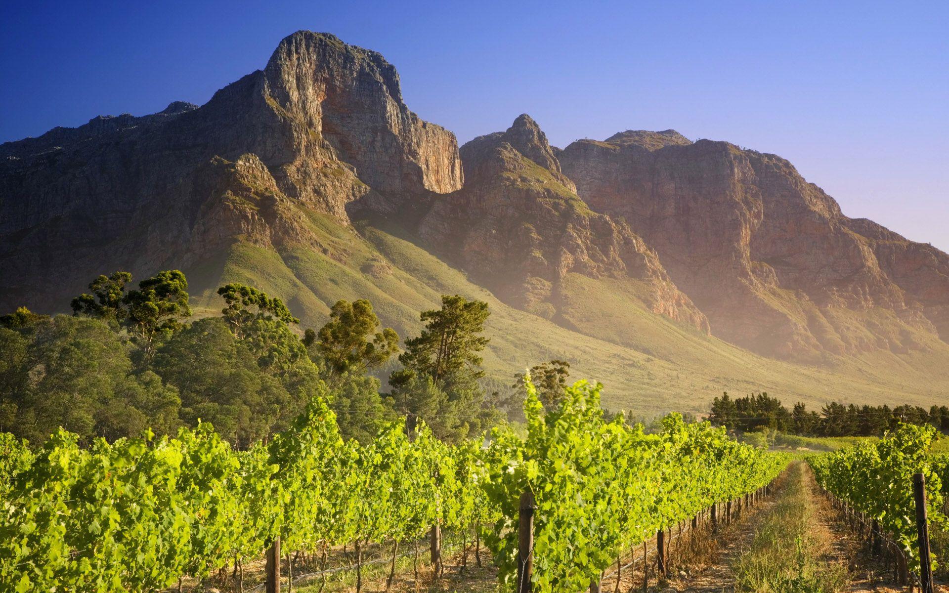 1920x1200 The world wine industry is shifting from old to new world