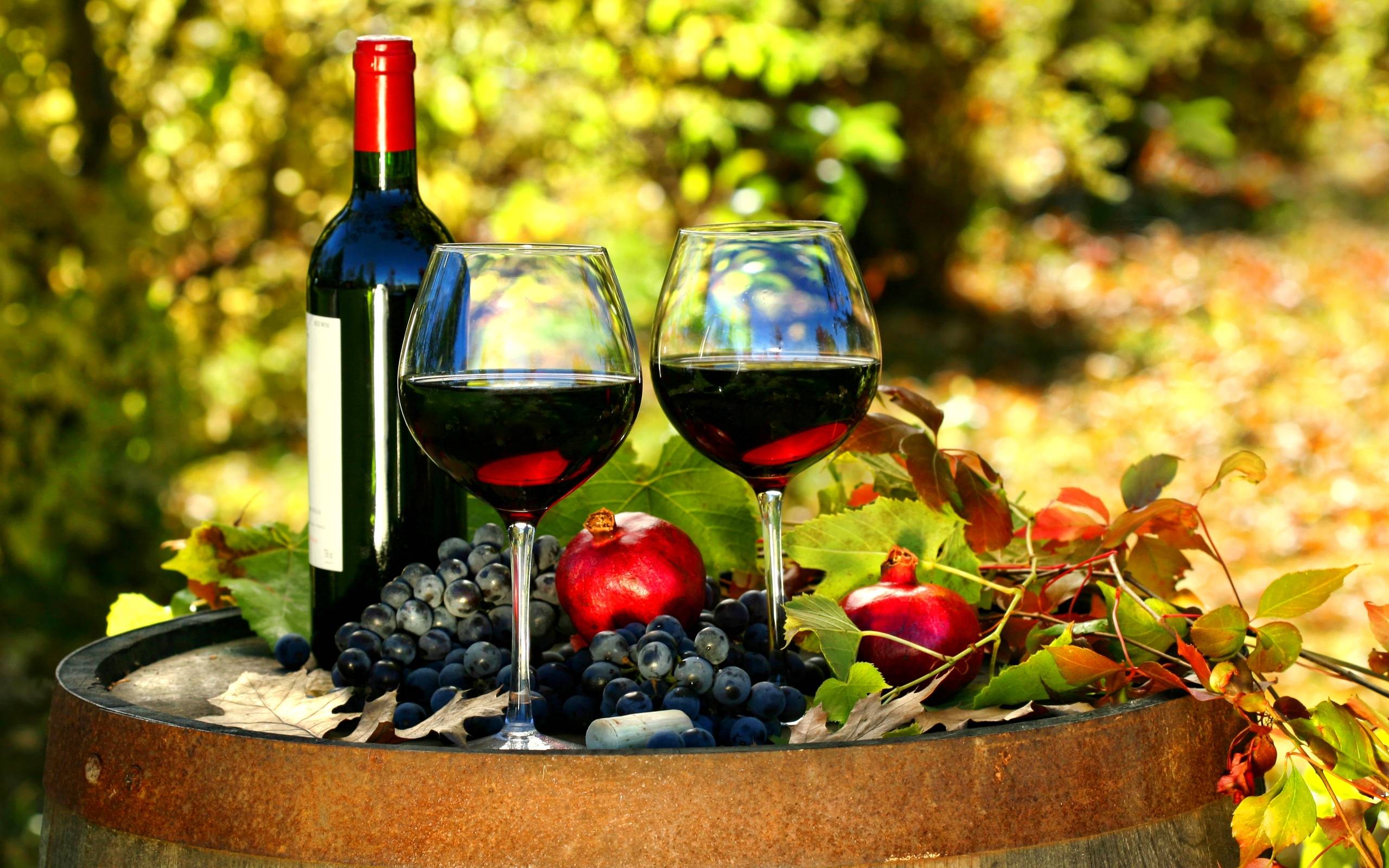 2560x1600 Vineyard And Wine Wallpaper