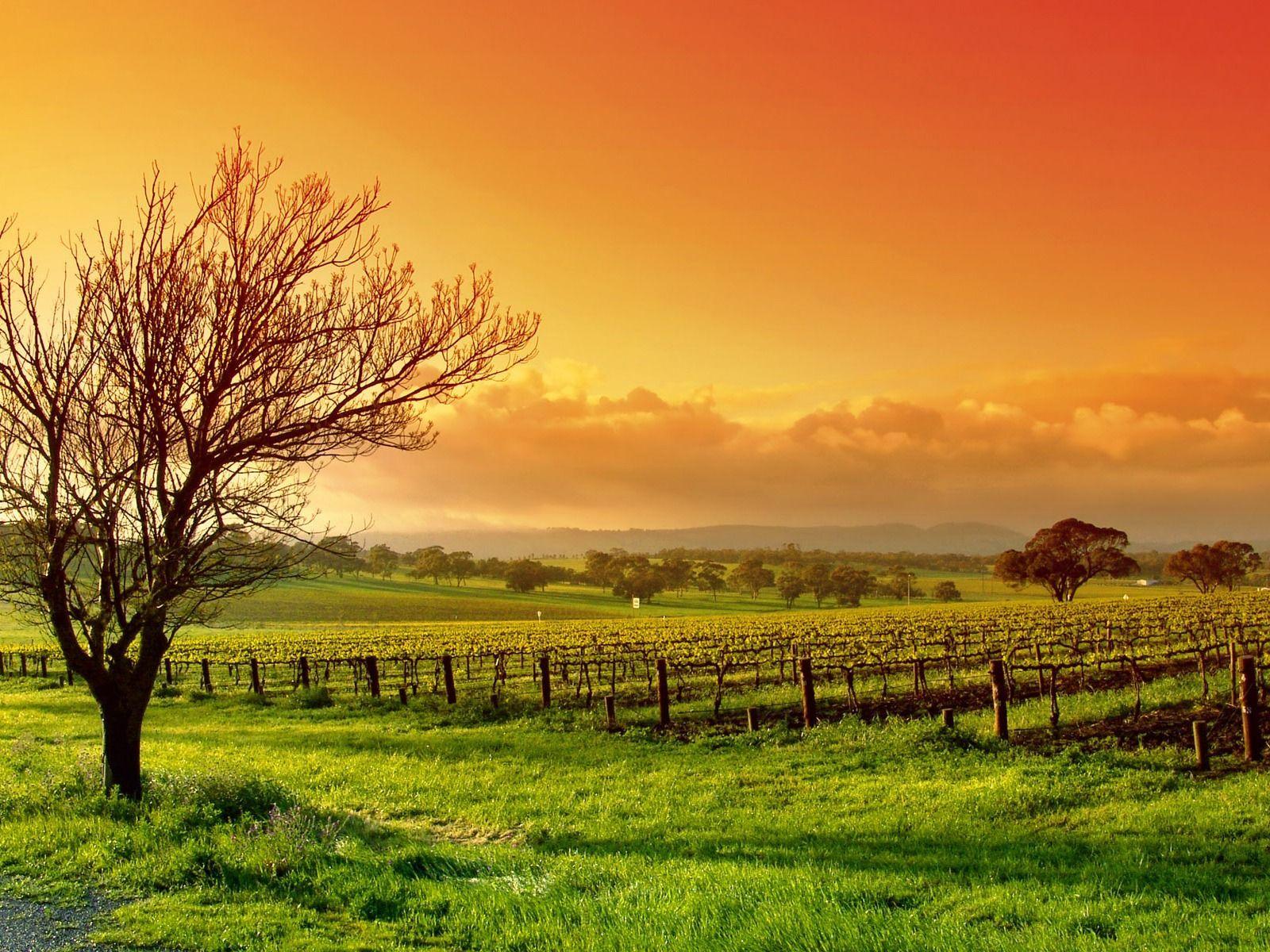 1600x1200 Fond Ecran Paysage Nature1144 Image. Landscape Trees, Landscape, Nature Wallpaper