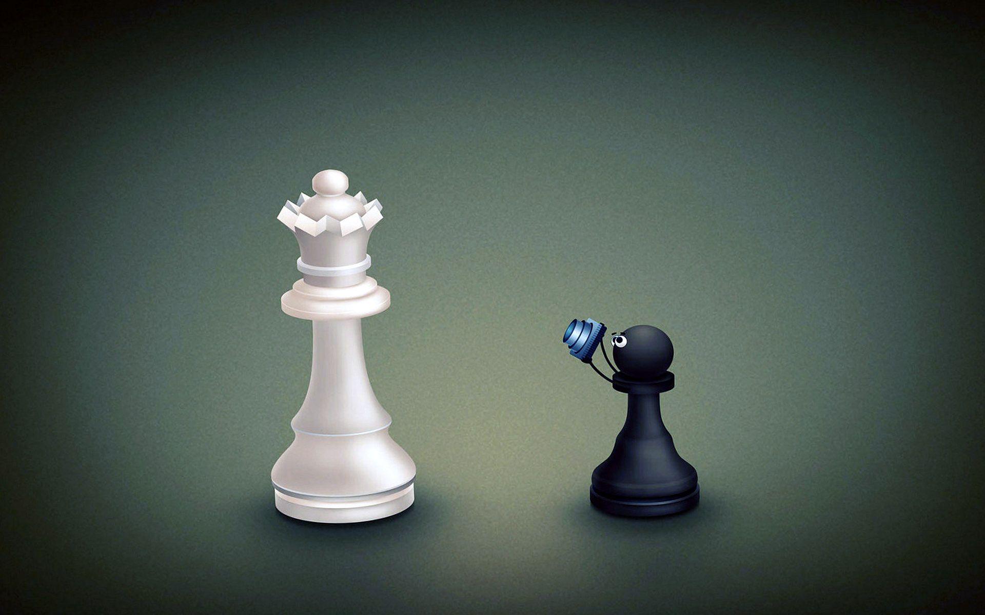 1920x1200 Funny Chess Picture Wallpaper HD / Desktop and Mobile Background