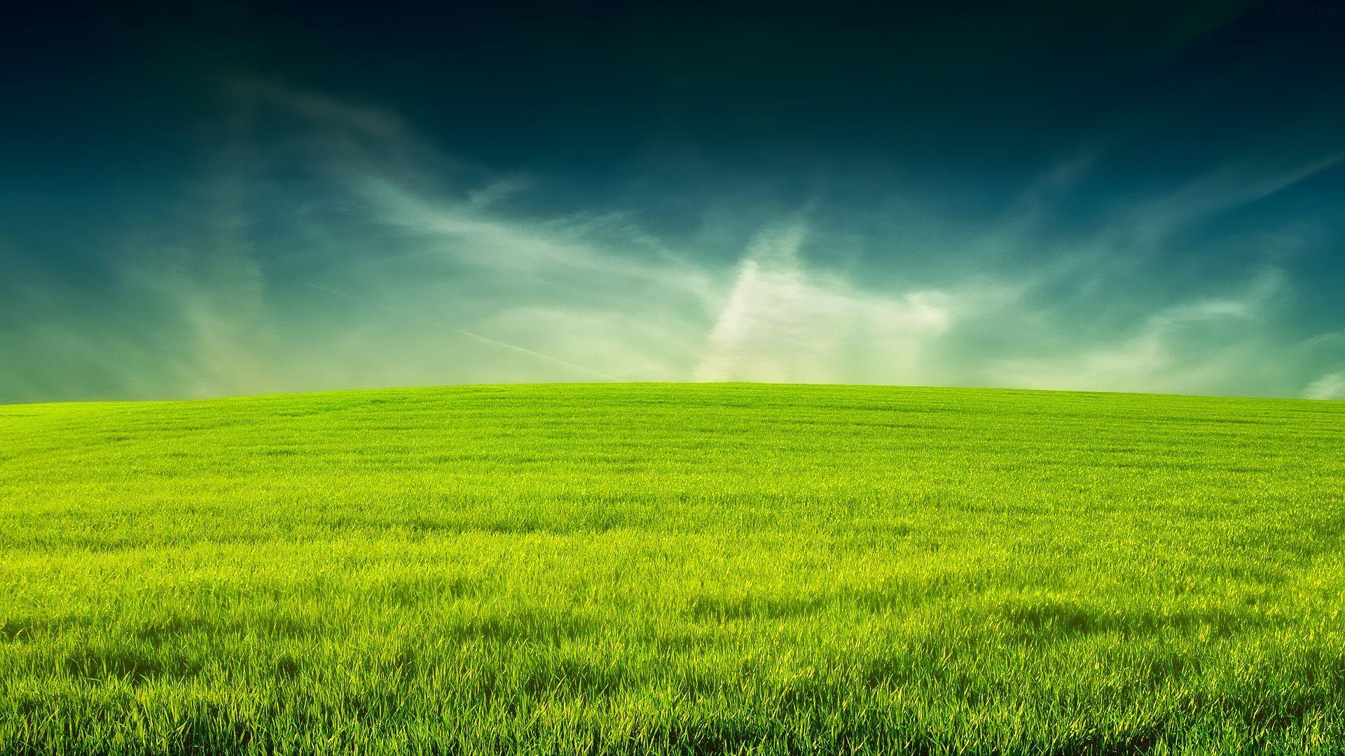 1920x1080 Lawn Green Wallpaper. PLOWZ And MOWZ