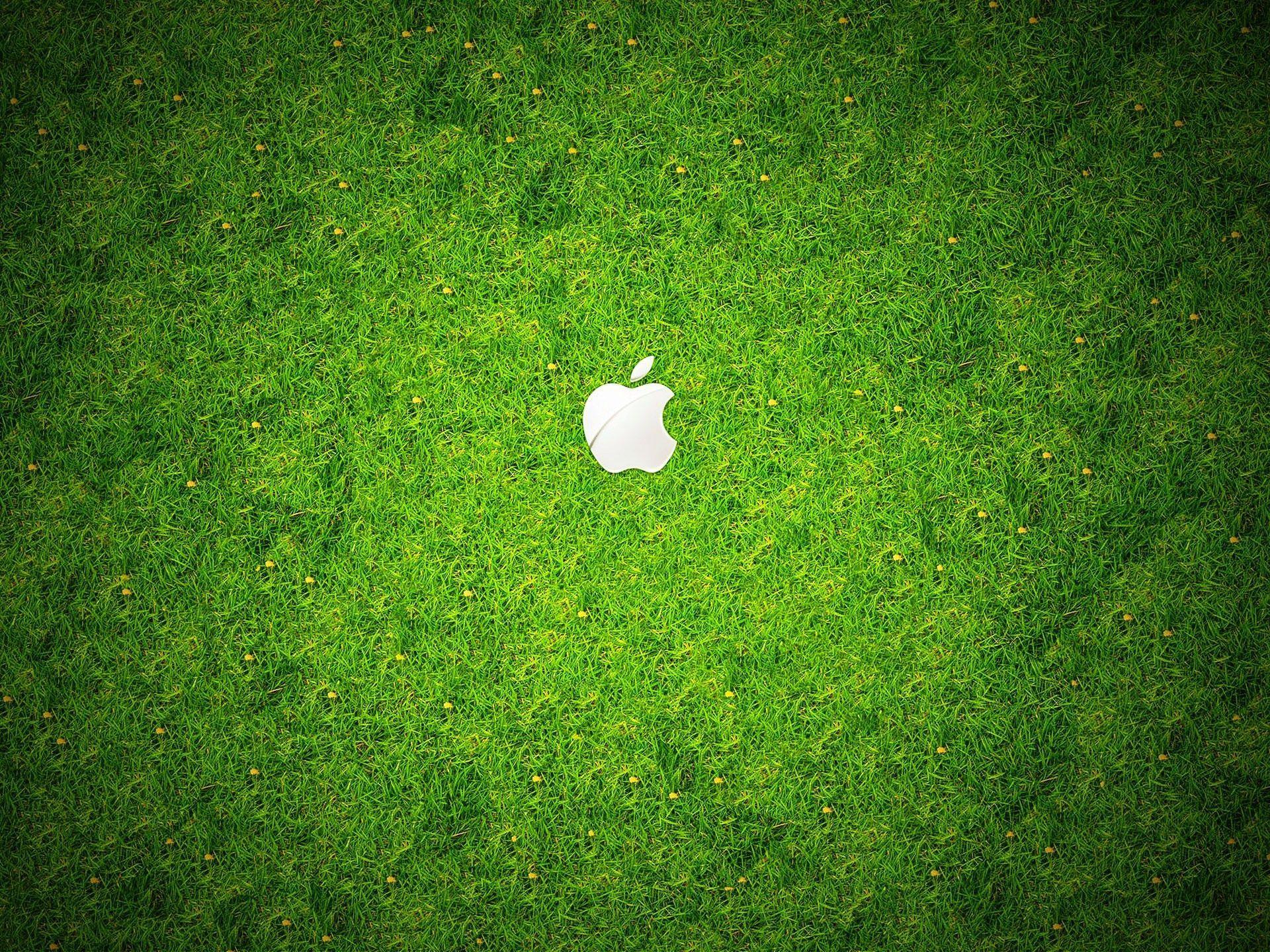 1920x1440 Apple Wallpaper Grass