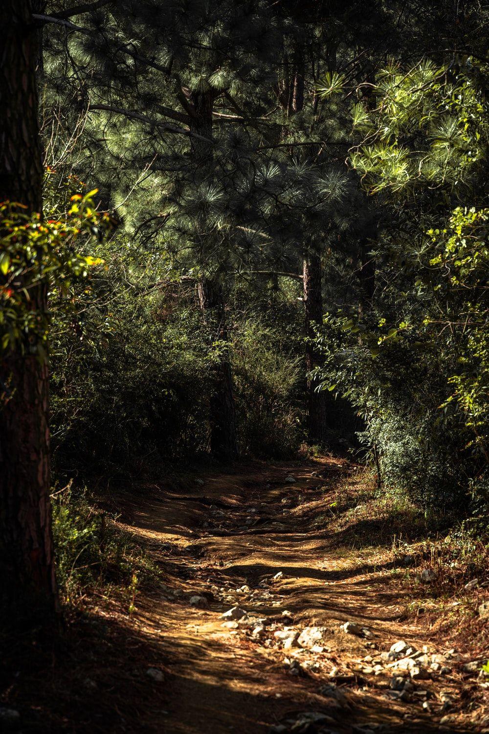1000x1500 Lockscreen Wallpaper Picture. Download Free Image