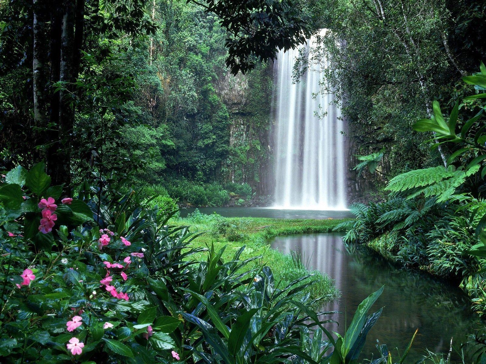 1600x1200 Landscapes garden rivers trees forest flowers wallpaperx1200