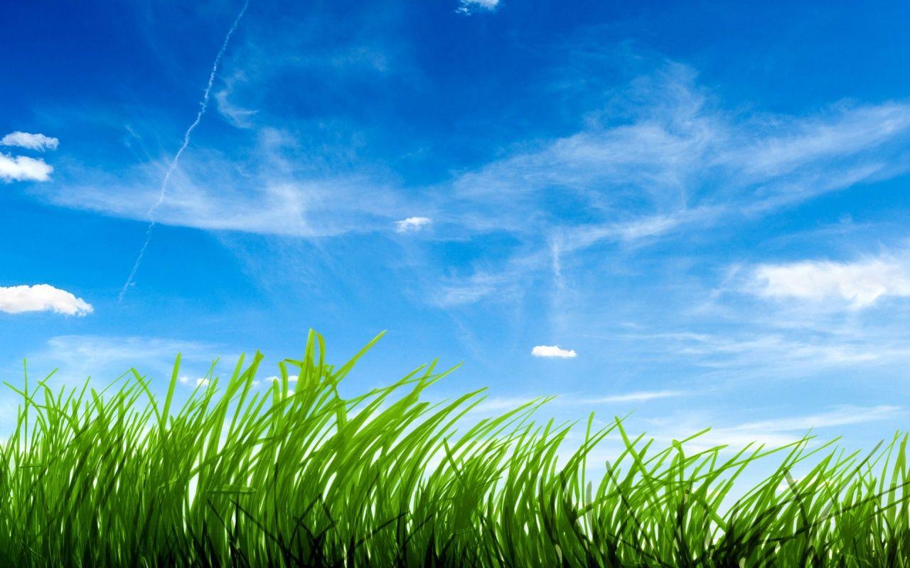 1280x800 Free download Blue Sky Green Grass Wallpaper HD Wallpaper [1280x800] for your Desktop, Mobile & Tablet. Explore Blue and Green Wallpaper. Green and Purple Wallpaper, Light Blue Green Wallpaper
