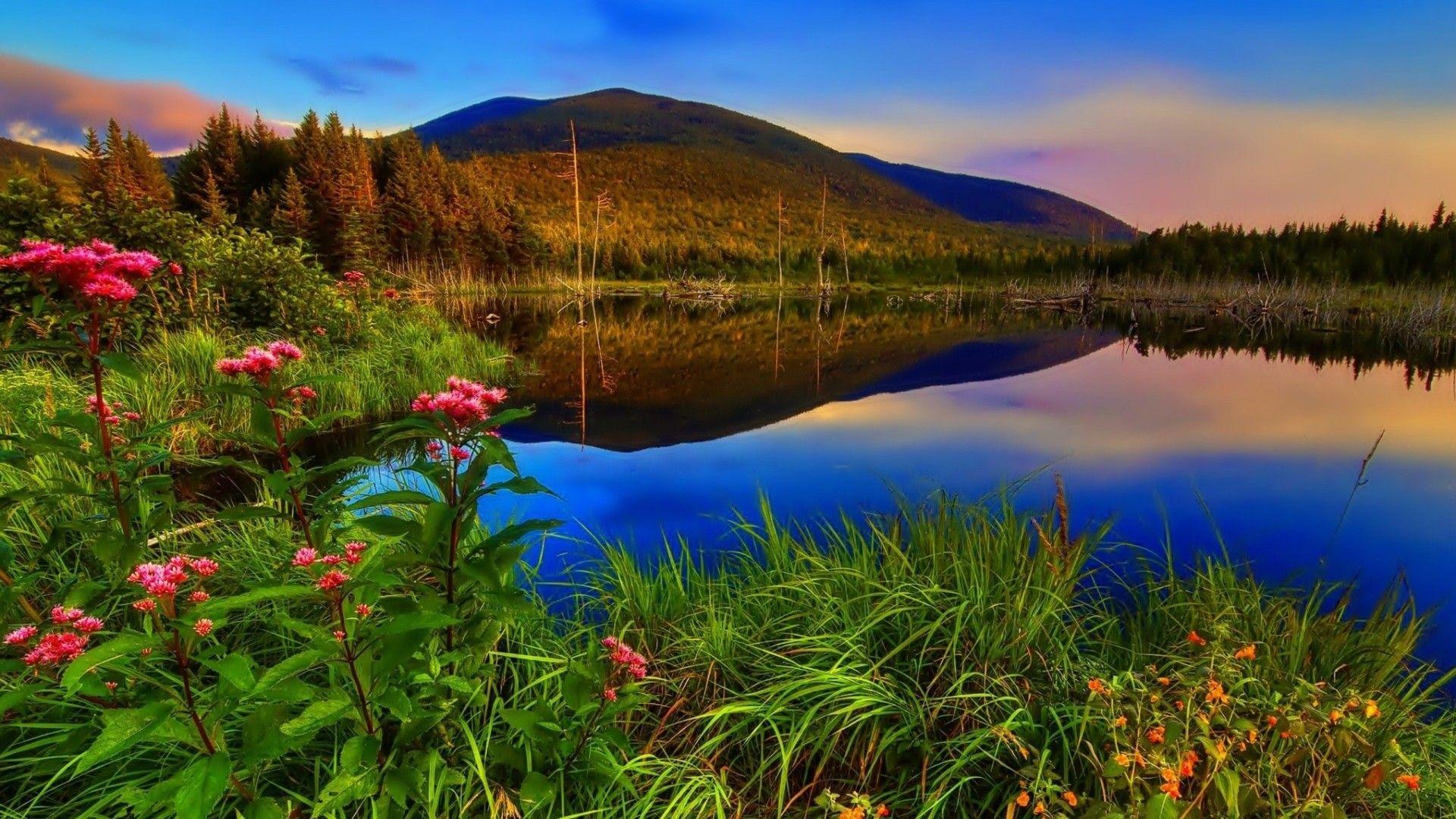 Flowers And Lakes Wallpapers Top Free Flowers And Lakes Backgrounds