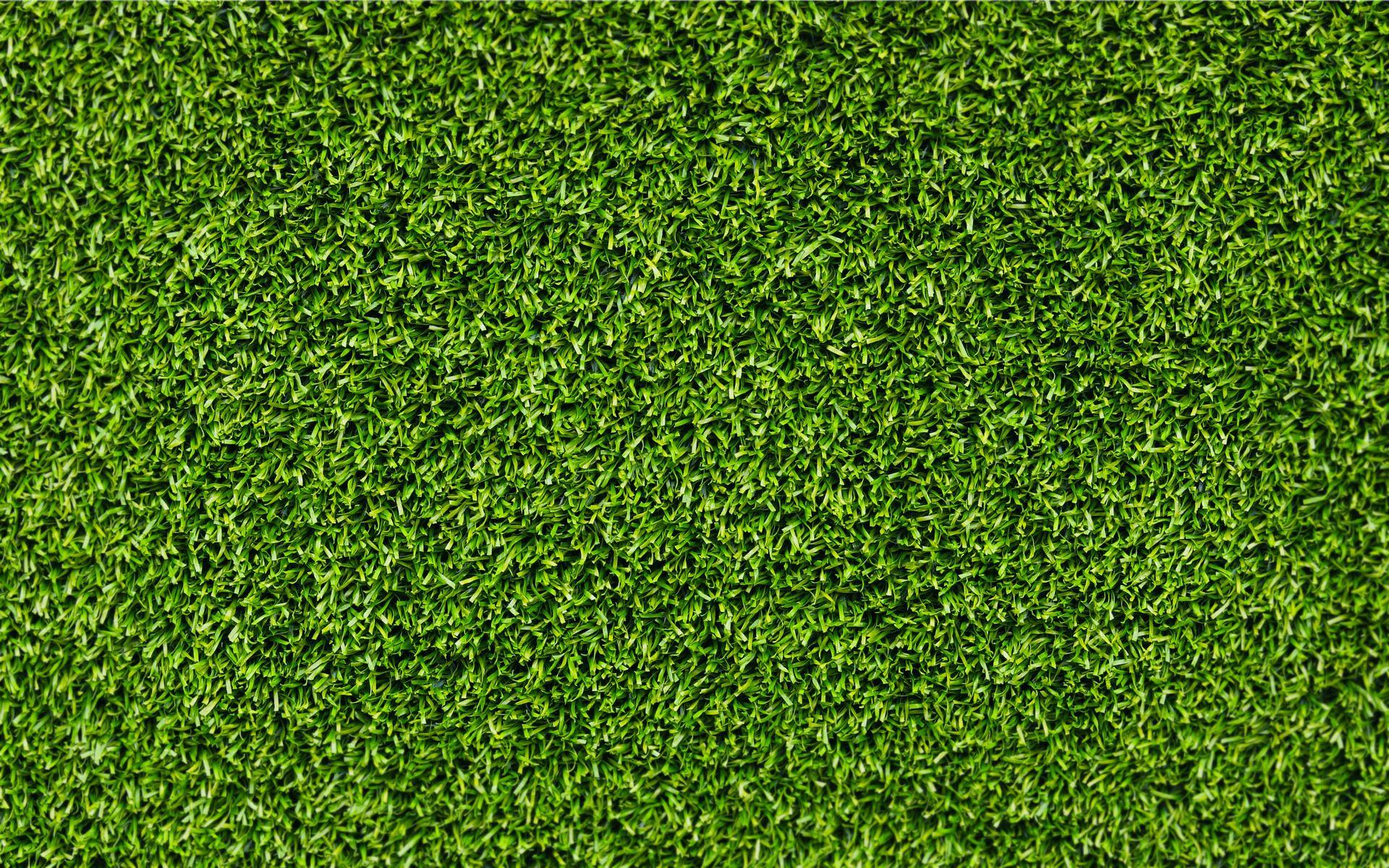 1920x1200 Download wallpaper: background Grass green, texture, desktop wallpaper, photo for design