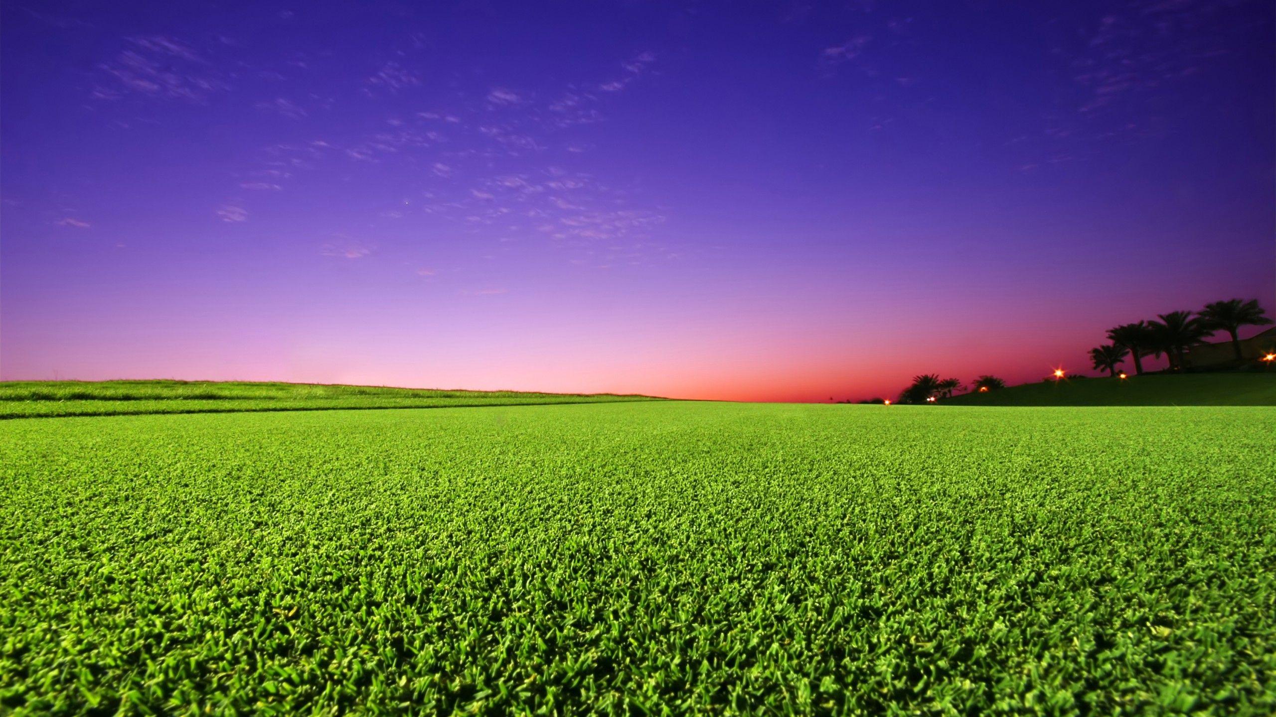 2560x1440 Wallpaper Golf course, Green grass, Sunset, HD, Nature,. Wallpaper for iPhone, Android, Mobile and Desktop