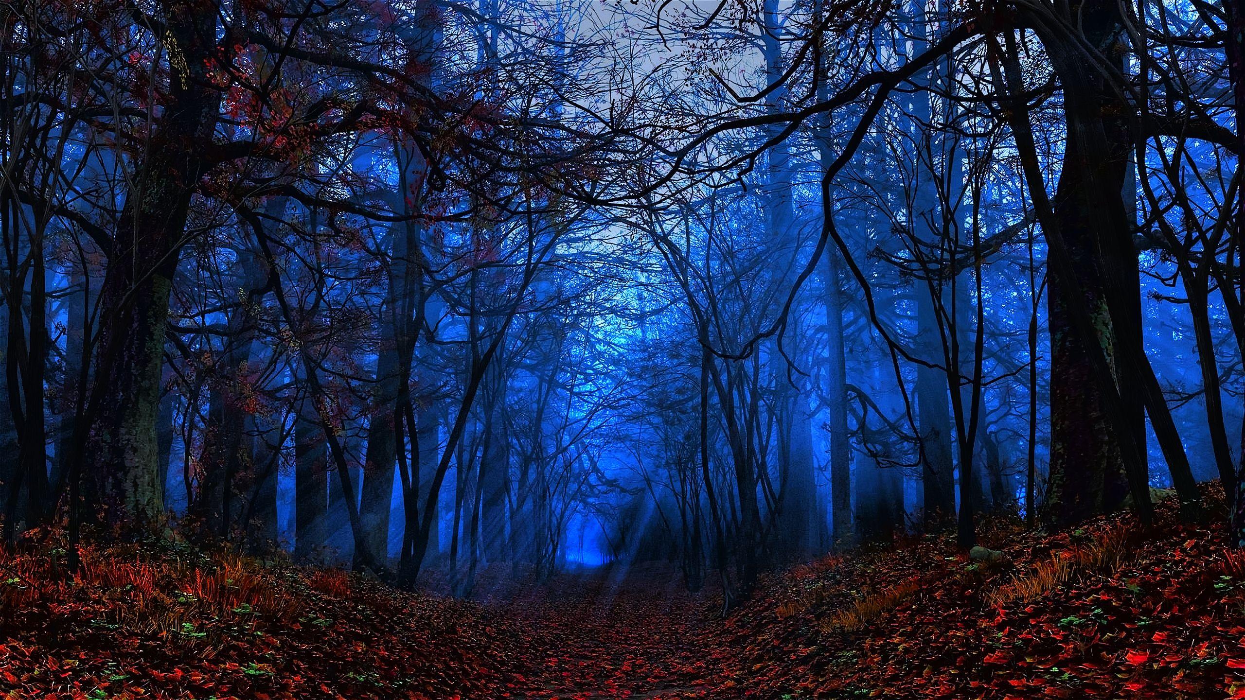 Mythical Forest Wallpapers - Top Free Mythical Forest Backgrounds ...