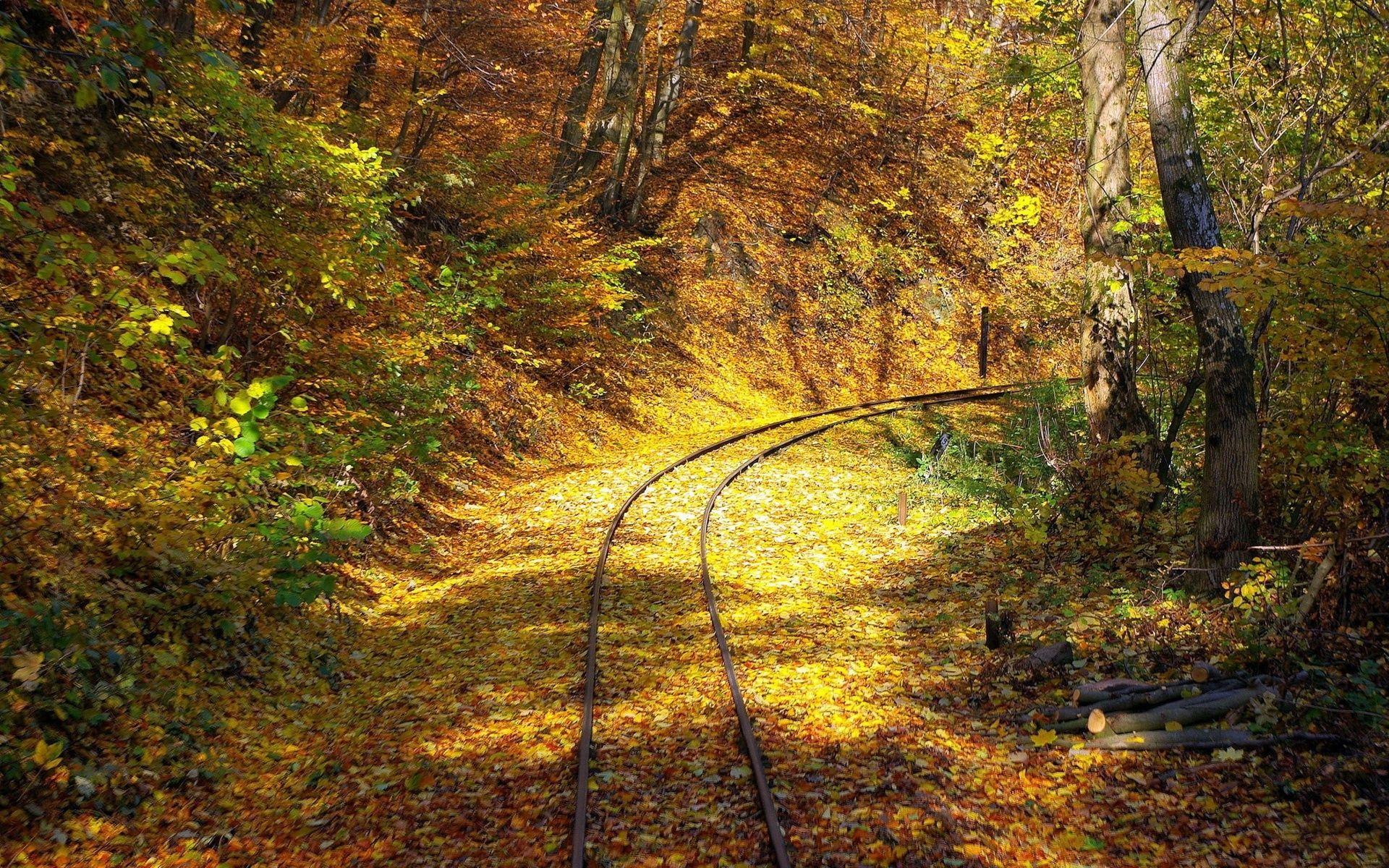 1920x1200 Rail Way Autumn Forest Sunny wallpaper. Rail Way Autumn Forest Sunny