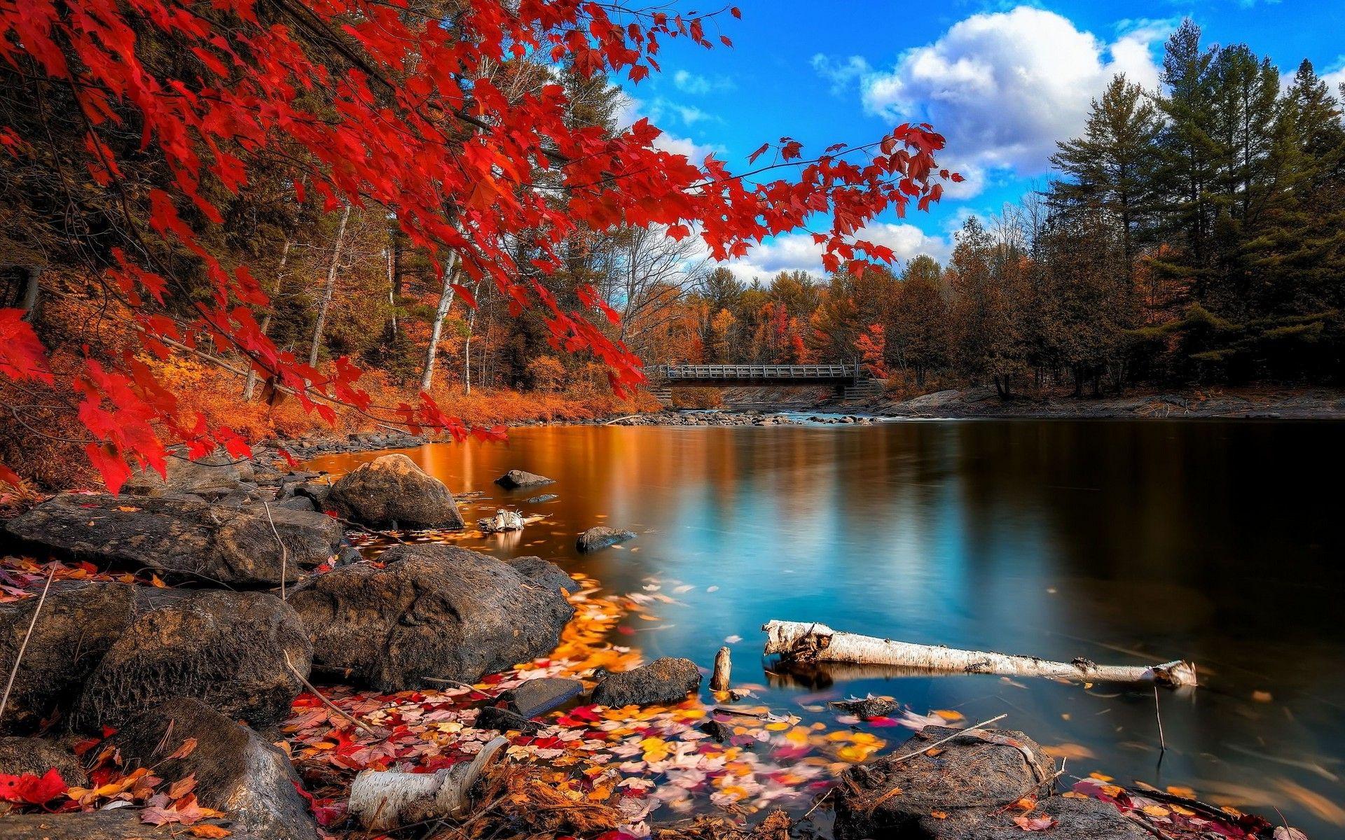 Details about   Waterfall Lake Autumn Hiking Forest Trees Nature Landscape HD POSTER