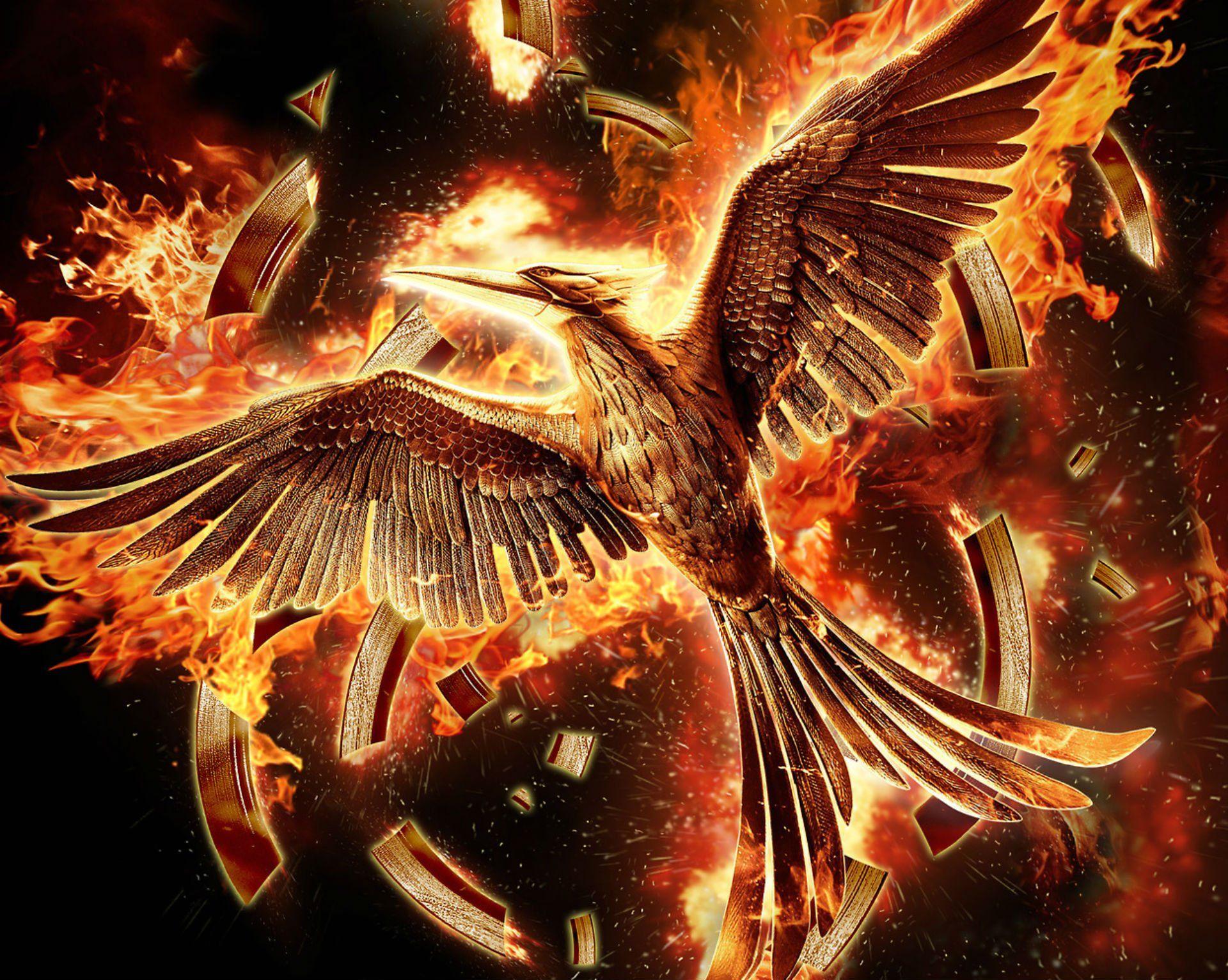 The Hunger Games Mockingjay Wallpapers - Top Free The Hunger Games  Mockingjay Backgrounds - WallpaperAccess