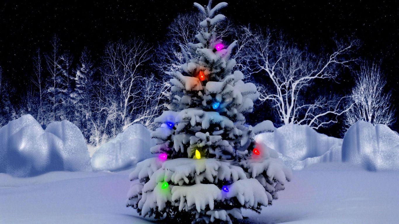 1366x768 Holiday Lights Tree