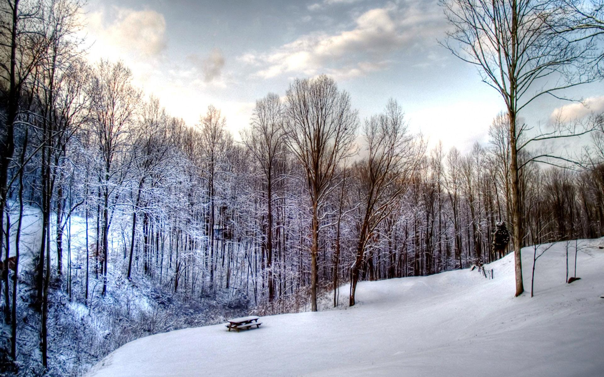 1920x1200 Winter Wallpaper Full HD