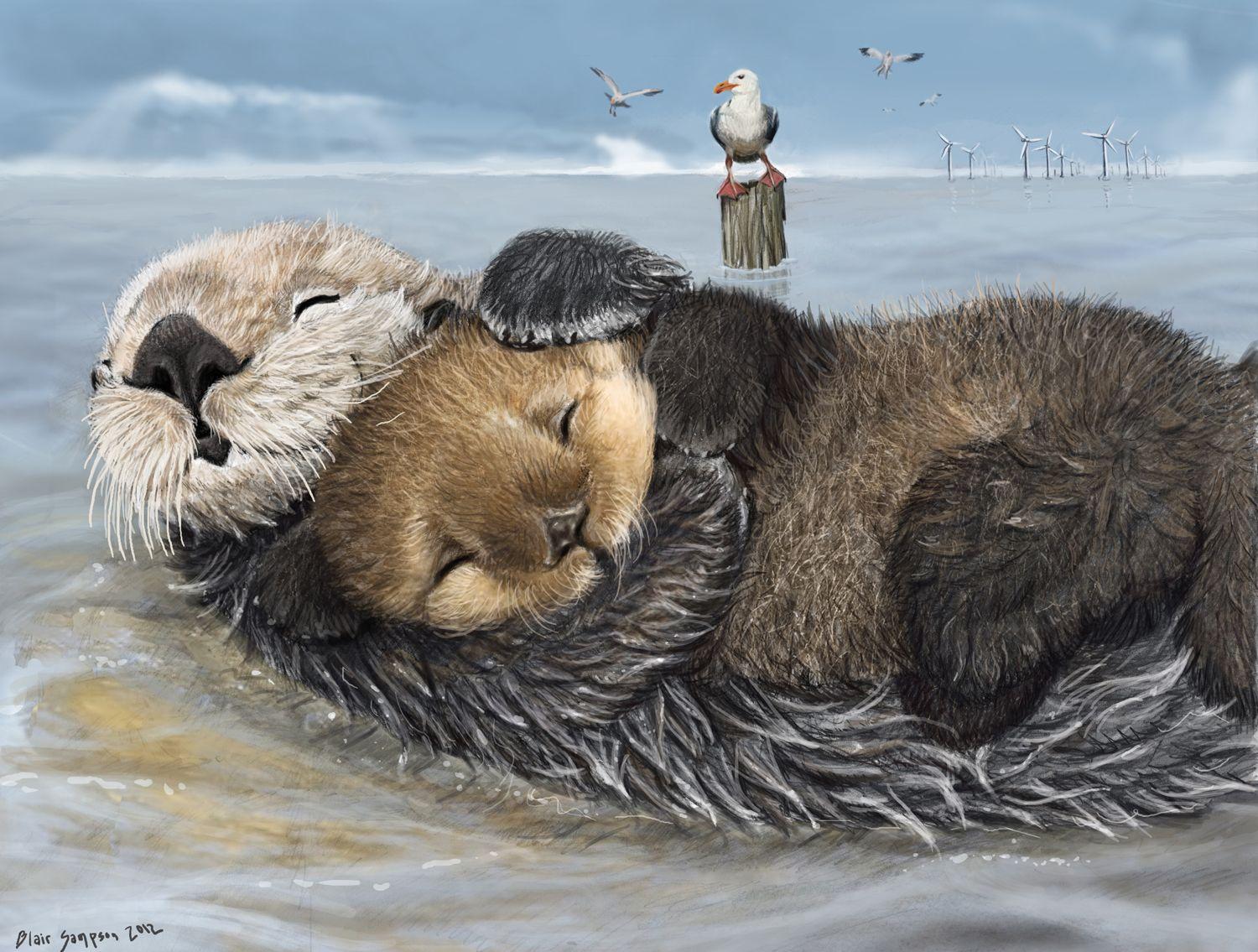 1500x1135 07.23.15 Sea Otter HD Background for PC ⇔ Full HDQ Picture 574119