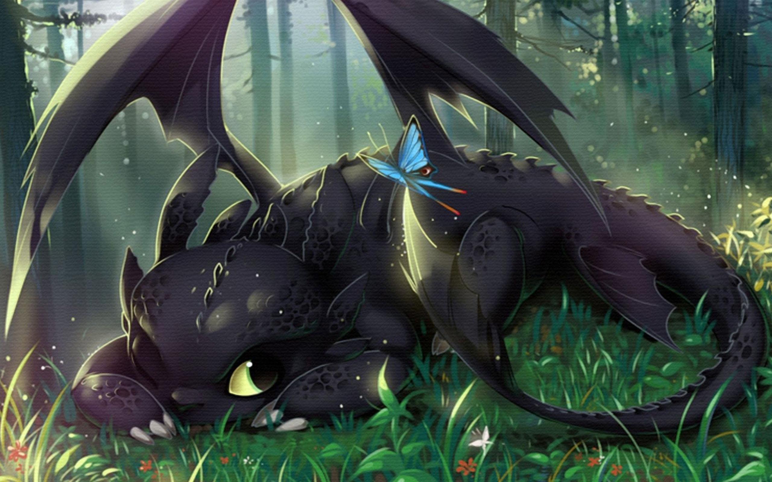 2560x1600 Wallpaper To Train Your Dragon Fury 1920X1200 Wallpaper