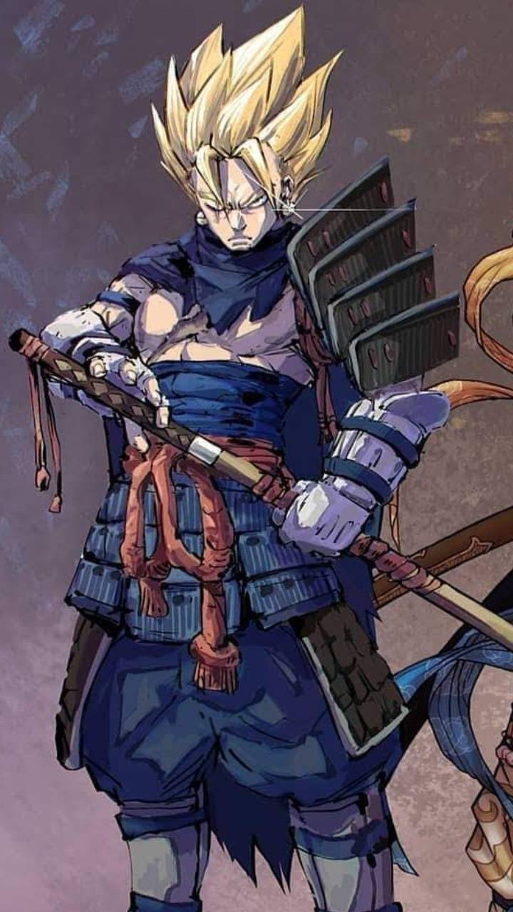 720x1280 Vegeto Samurai wallpaper