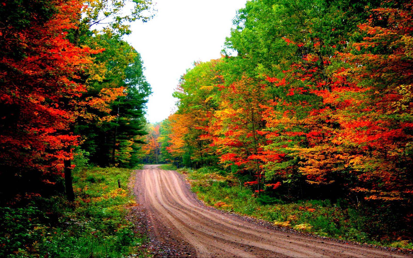 1600x1000 Desktop Wallpaper: Autumn Road Desktop Wallpaper